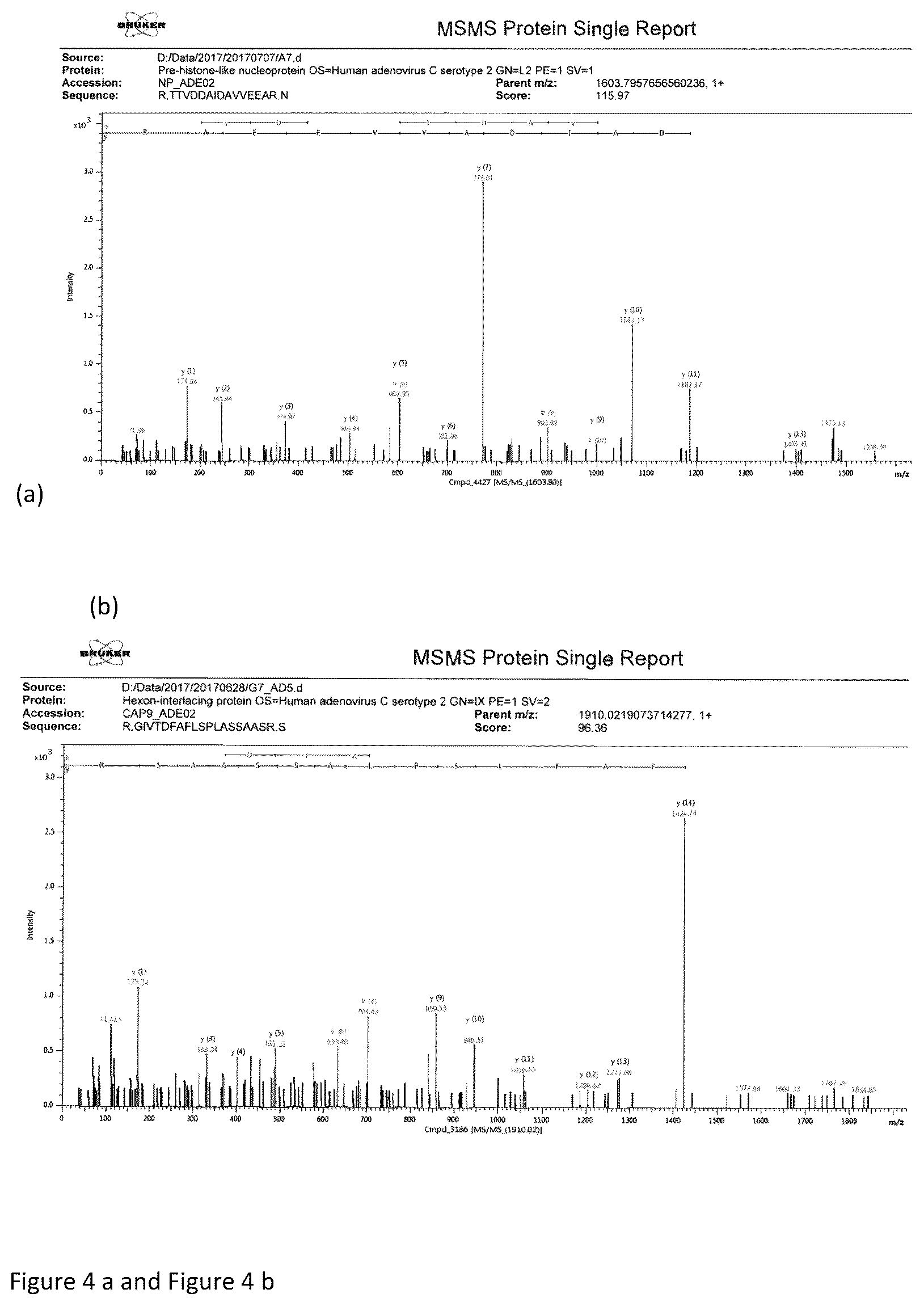 Patent US12360112 Figure 4 – Method for identification of viruses and diagnostic kit using the same