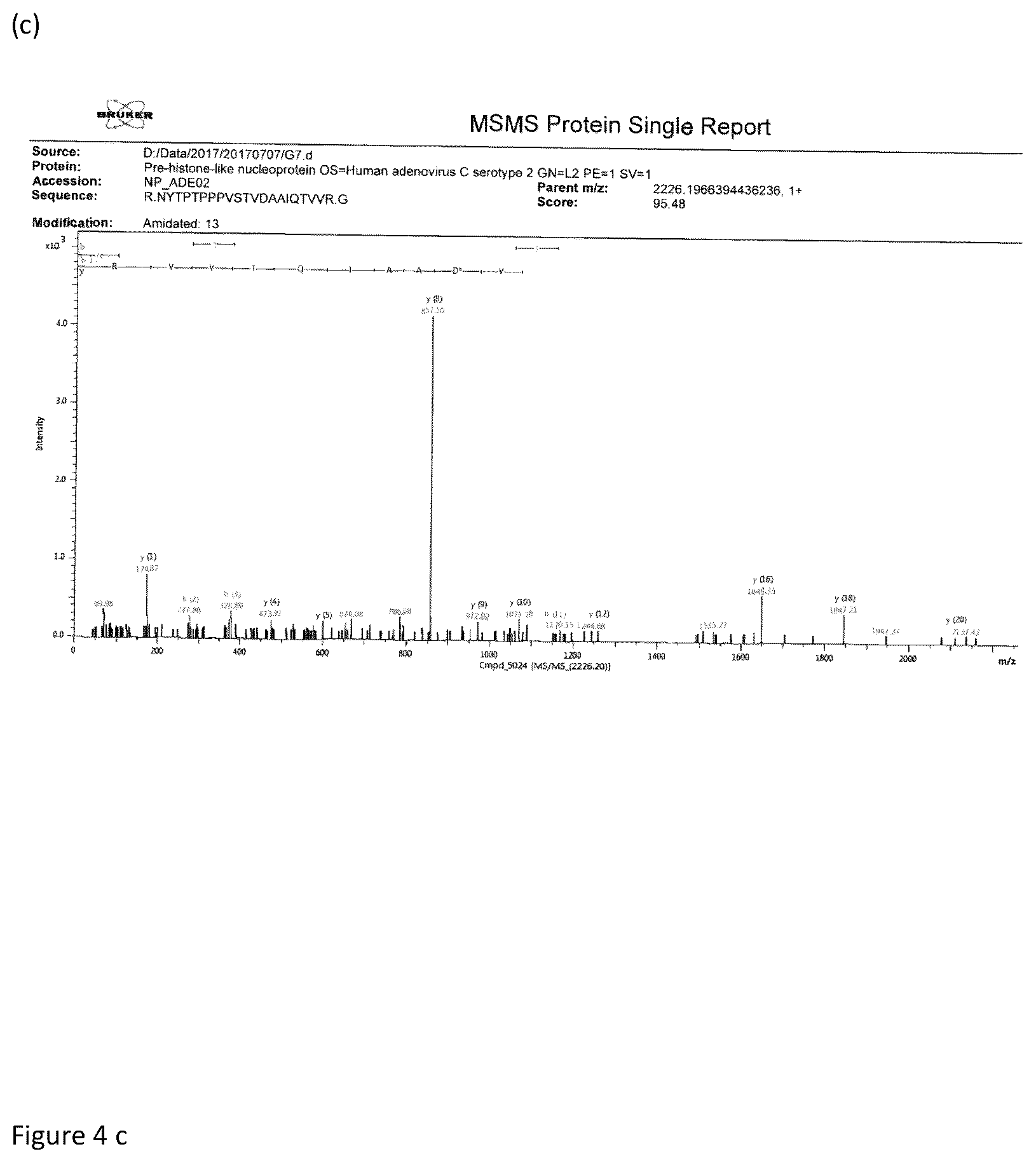 Patent US12360112 Figure 5 – Method for identification of viruses and diagnostic kit using the same