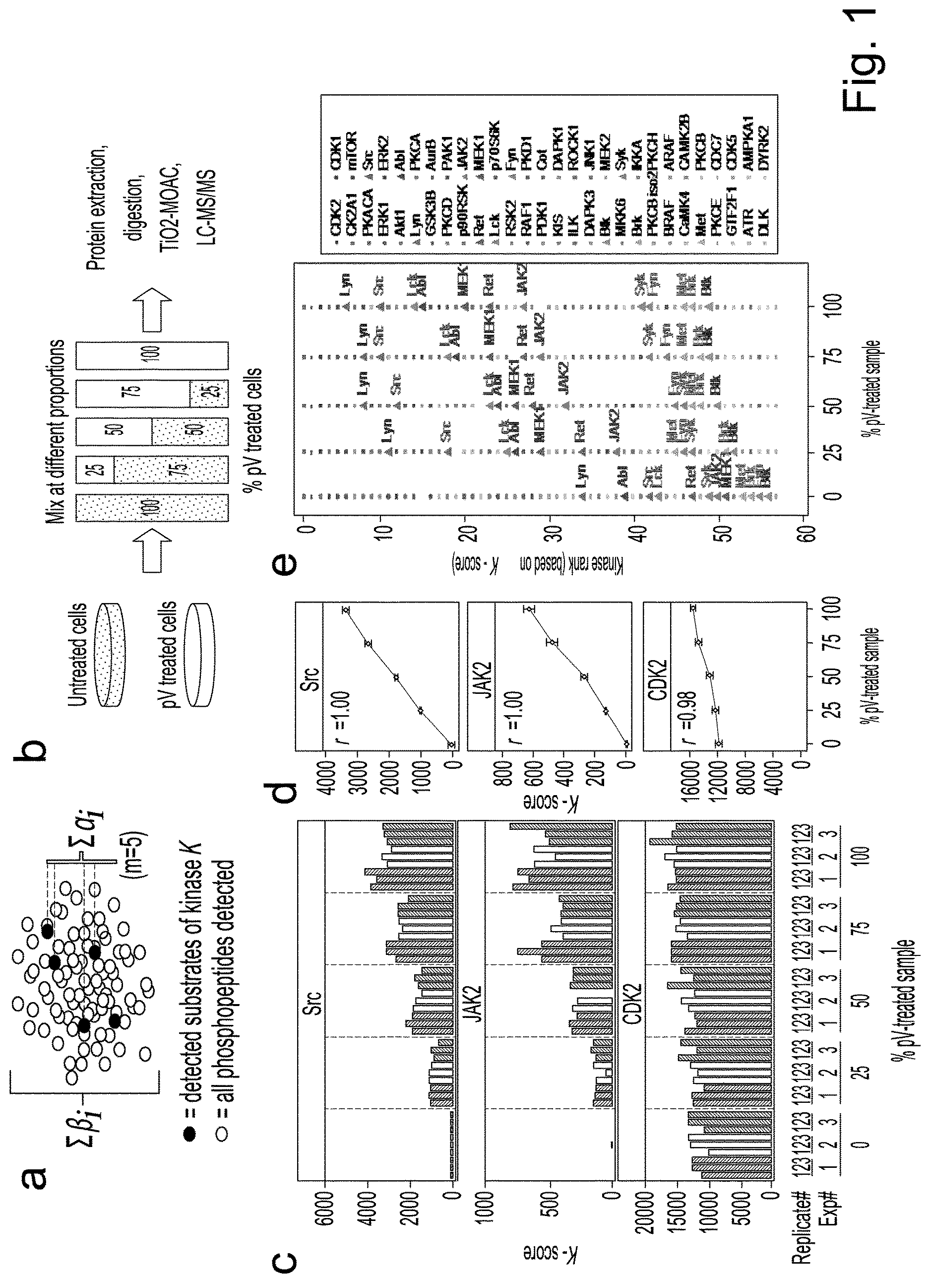 Patent US12360118 Figure 1 – Method for protein kinase activity ranking