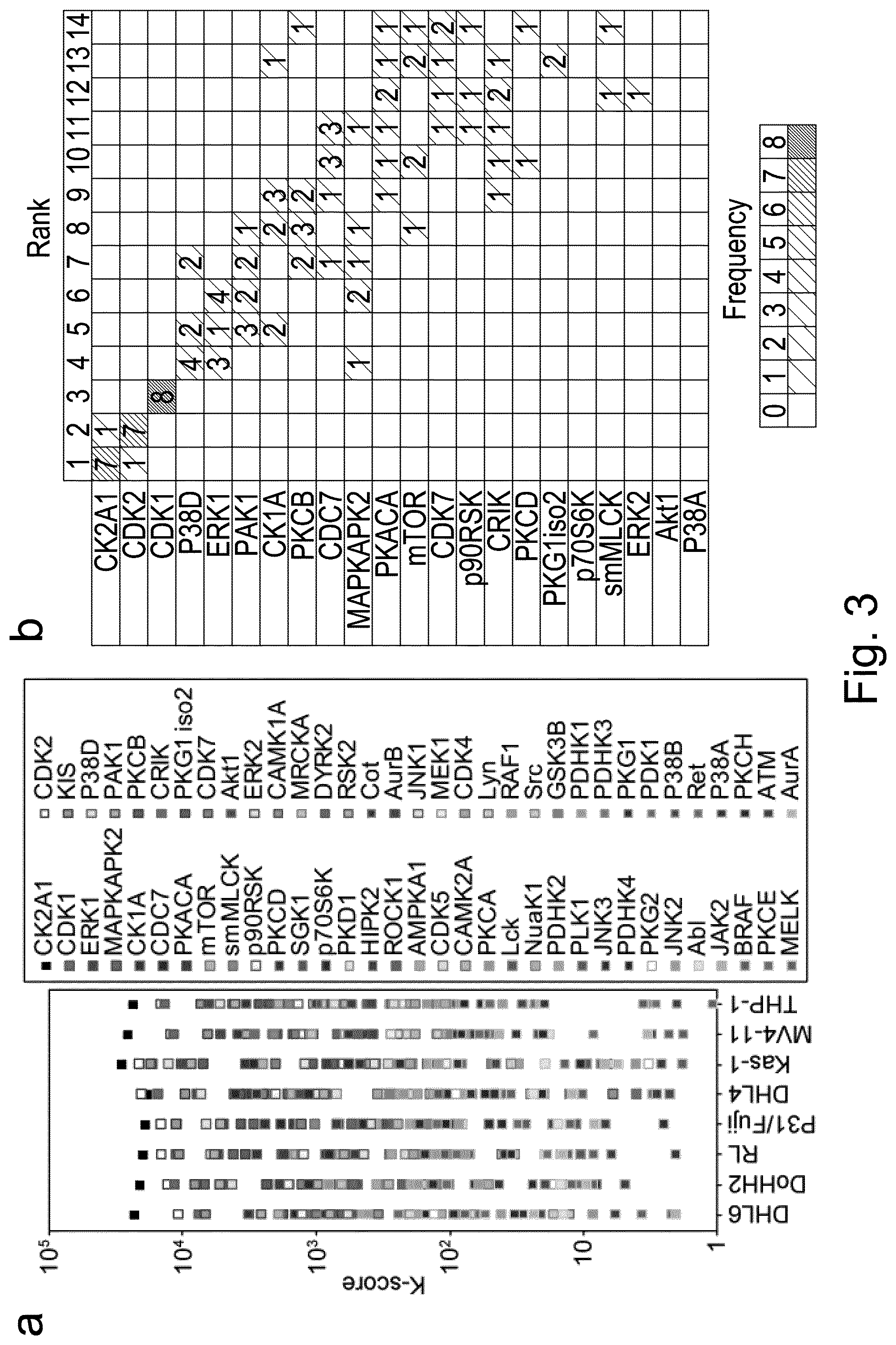 Patent US12360118 Figure 3 – Method for protein kinase activity ranking