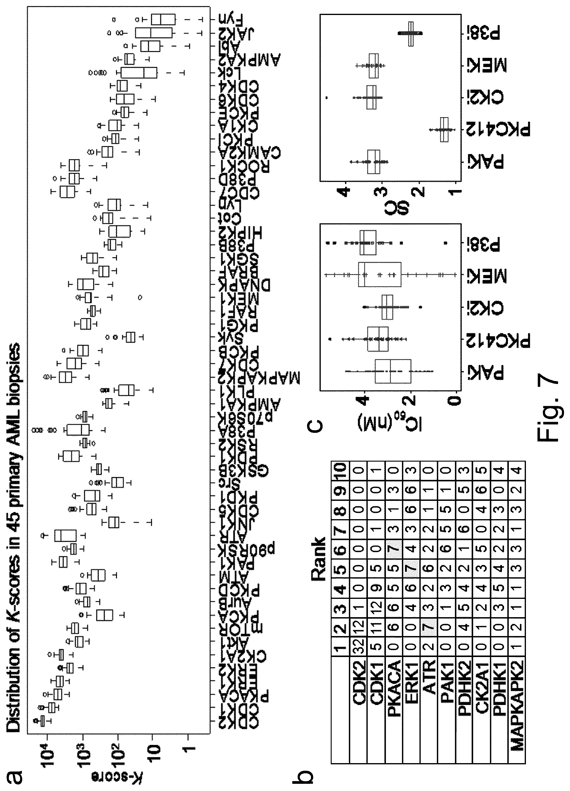 Patent US12360118 Figure 7 – Method for protein kinase activity ranking