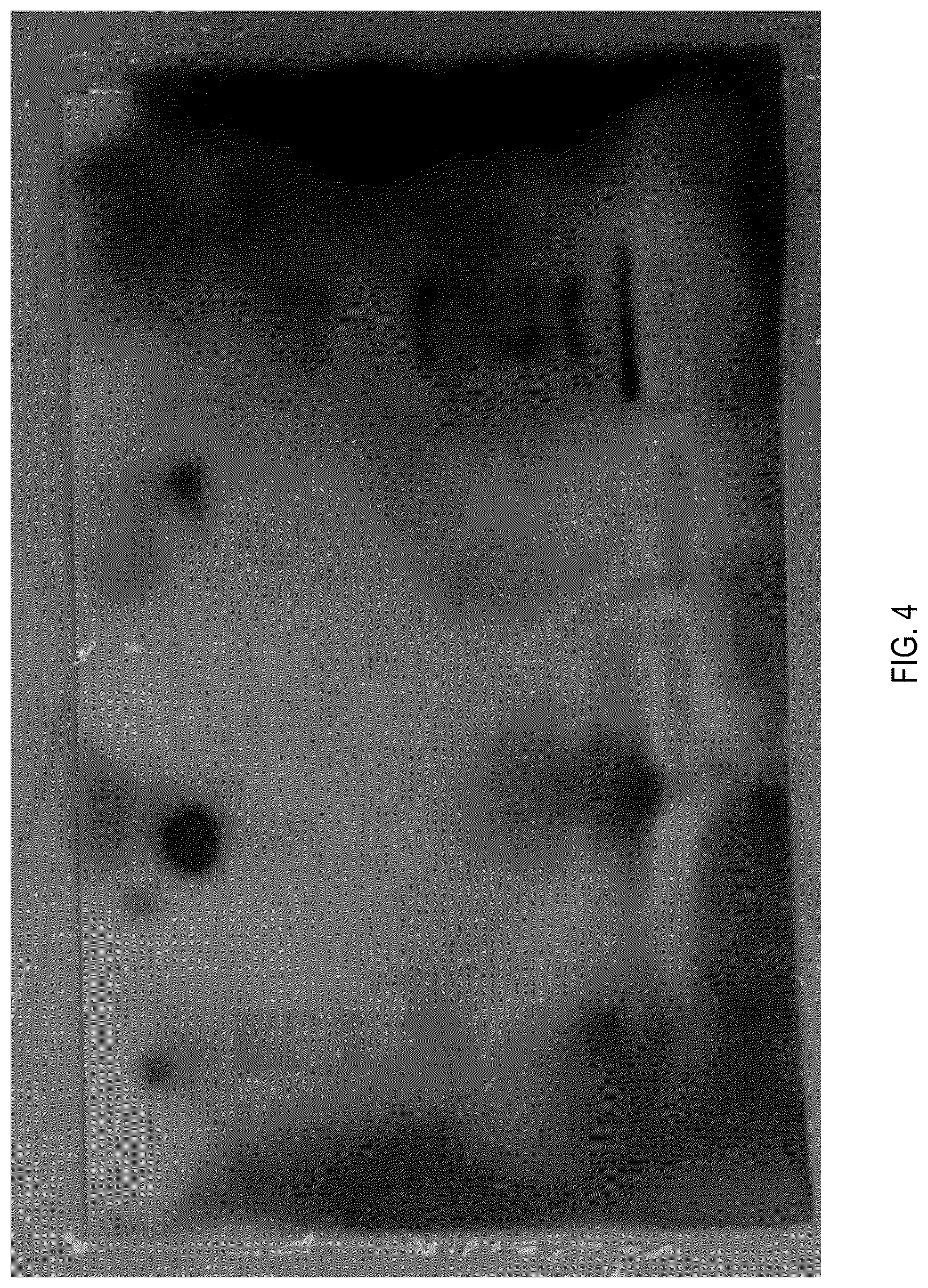 Patent US12360121 Figure 5 – Assay for detection of an A2E-Saposin B complex