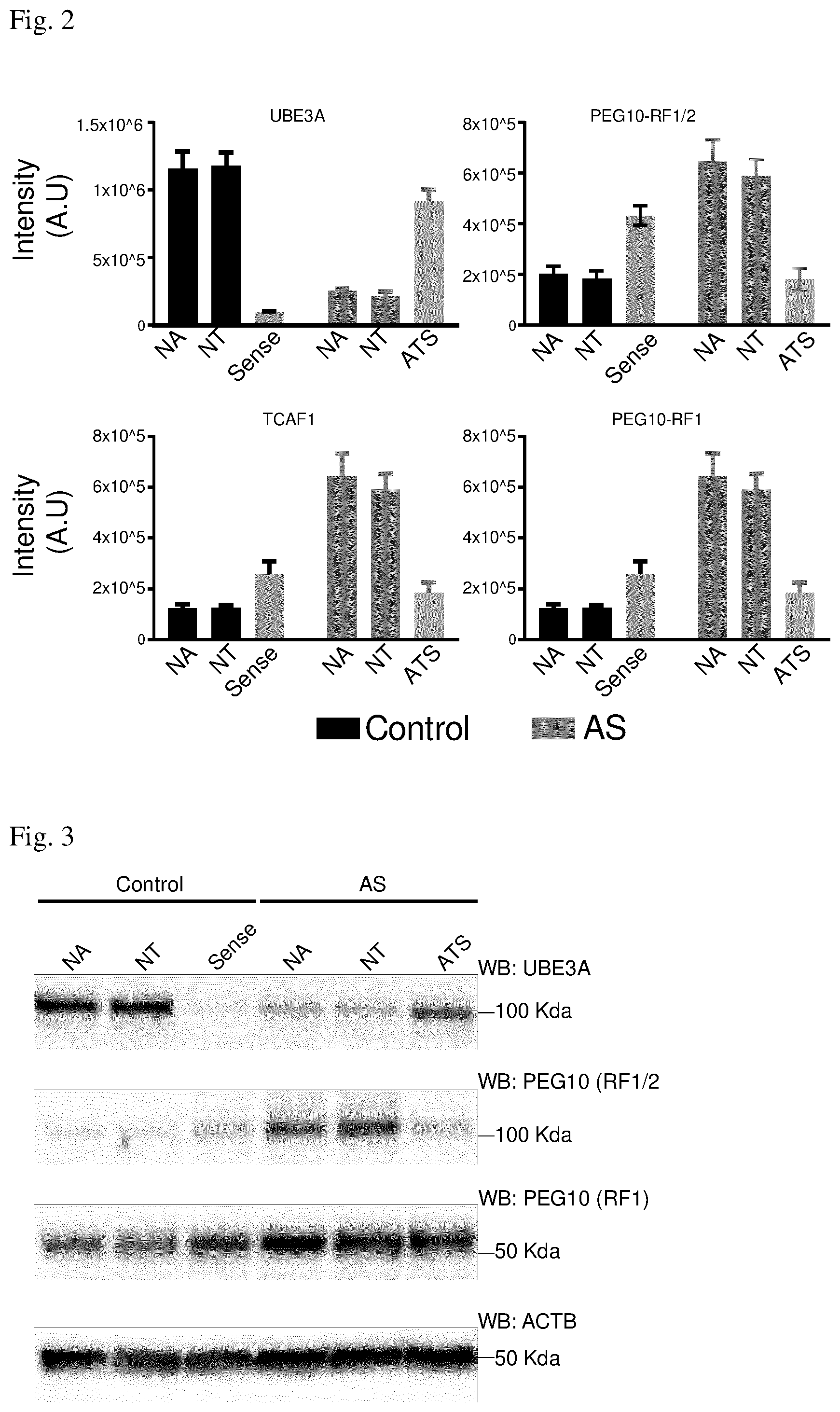 Patent US12360123 Figure 2 – E3 ubiquitin ligase (UBE3A) protein targets