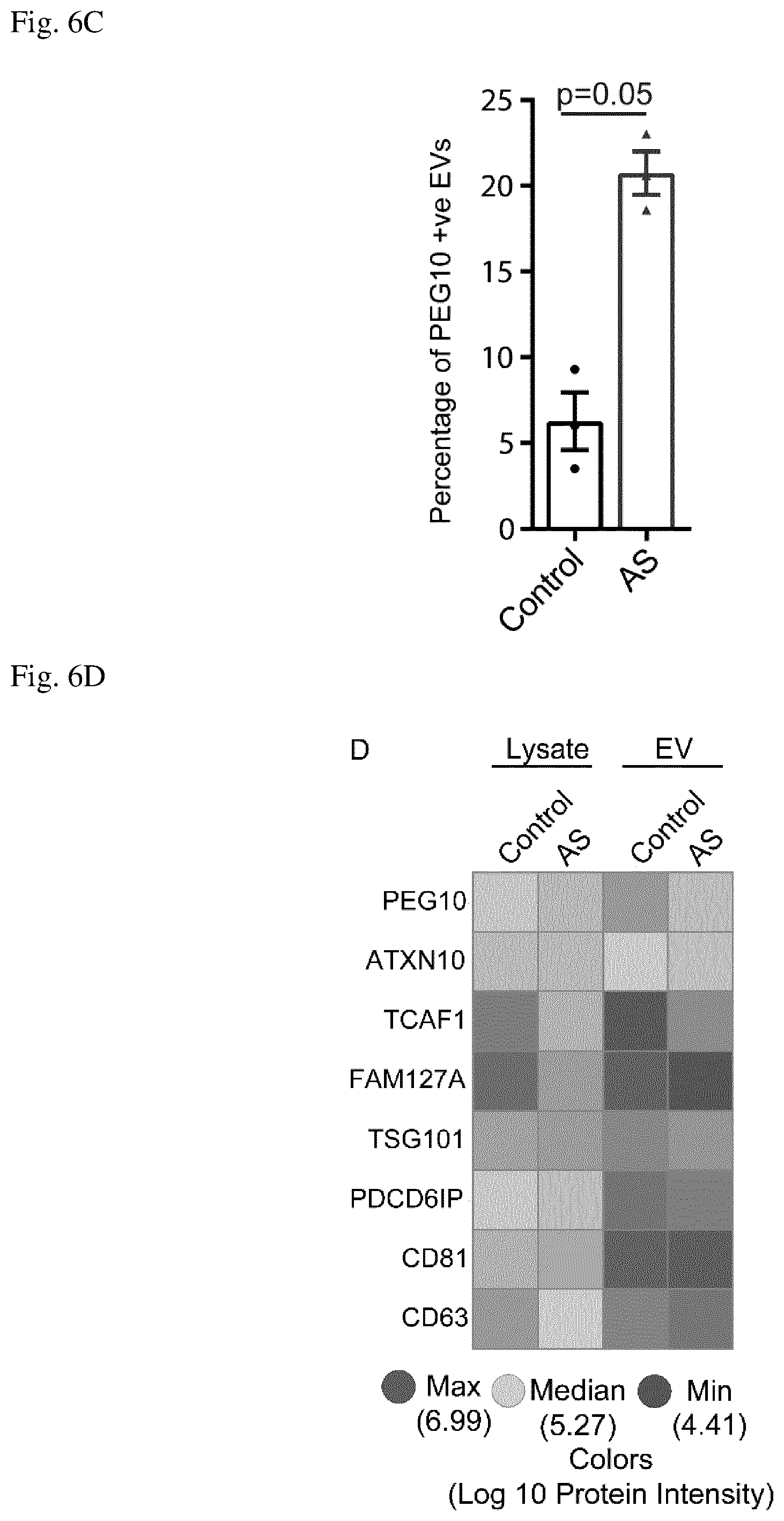 Patent US12360123 Figure 9 – E3 ubiquitin ligase (UBE3A) protein targets
