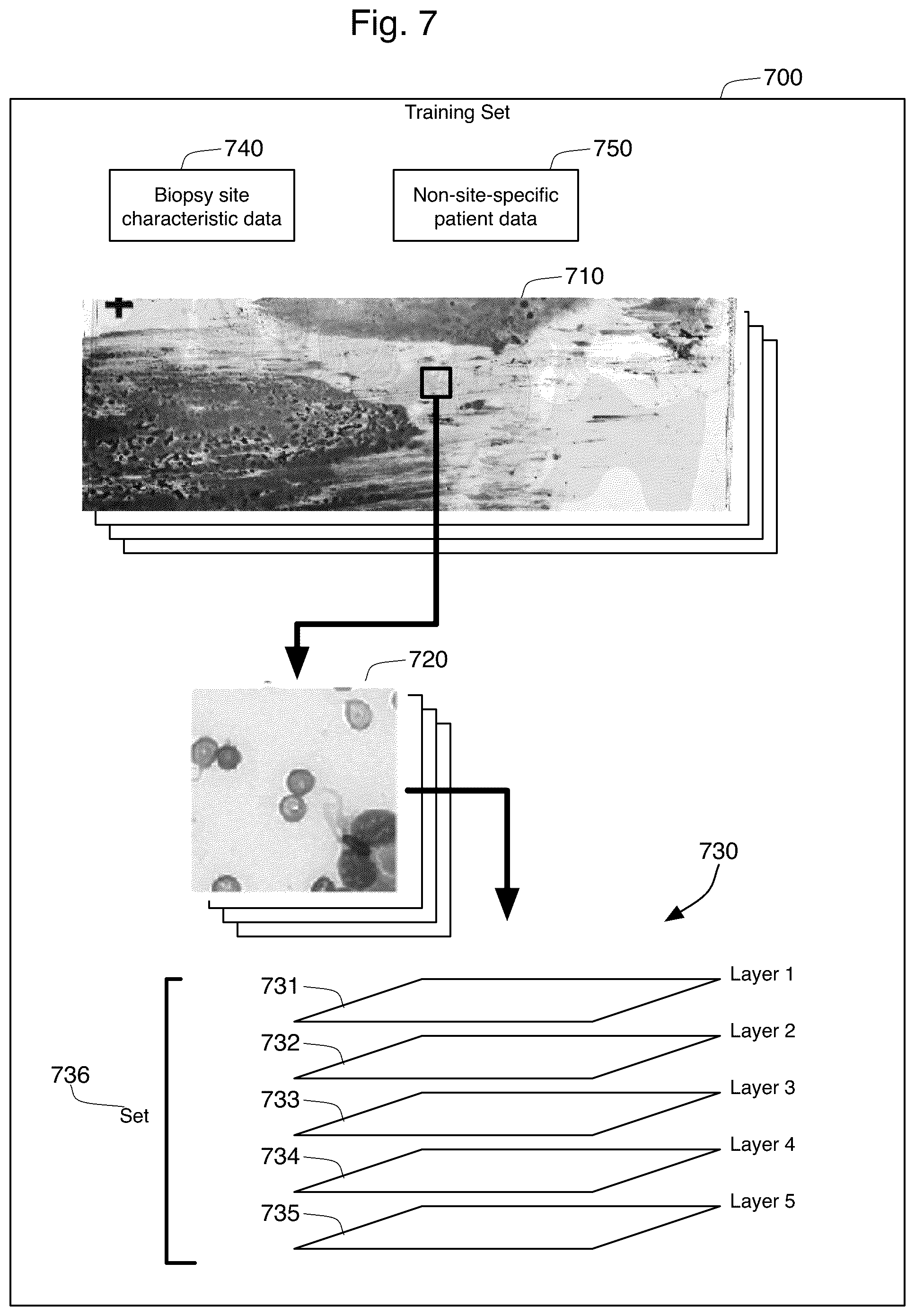 Patent US12361545 Figure 6 – Rapid on-site evaluation using artificial intelligence for lung cytopathology