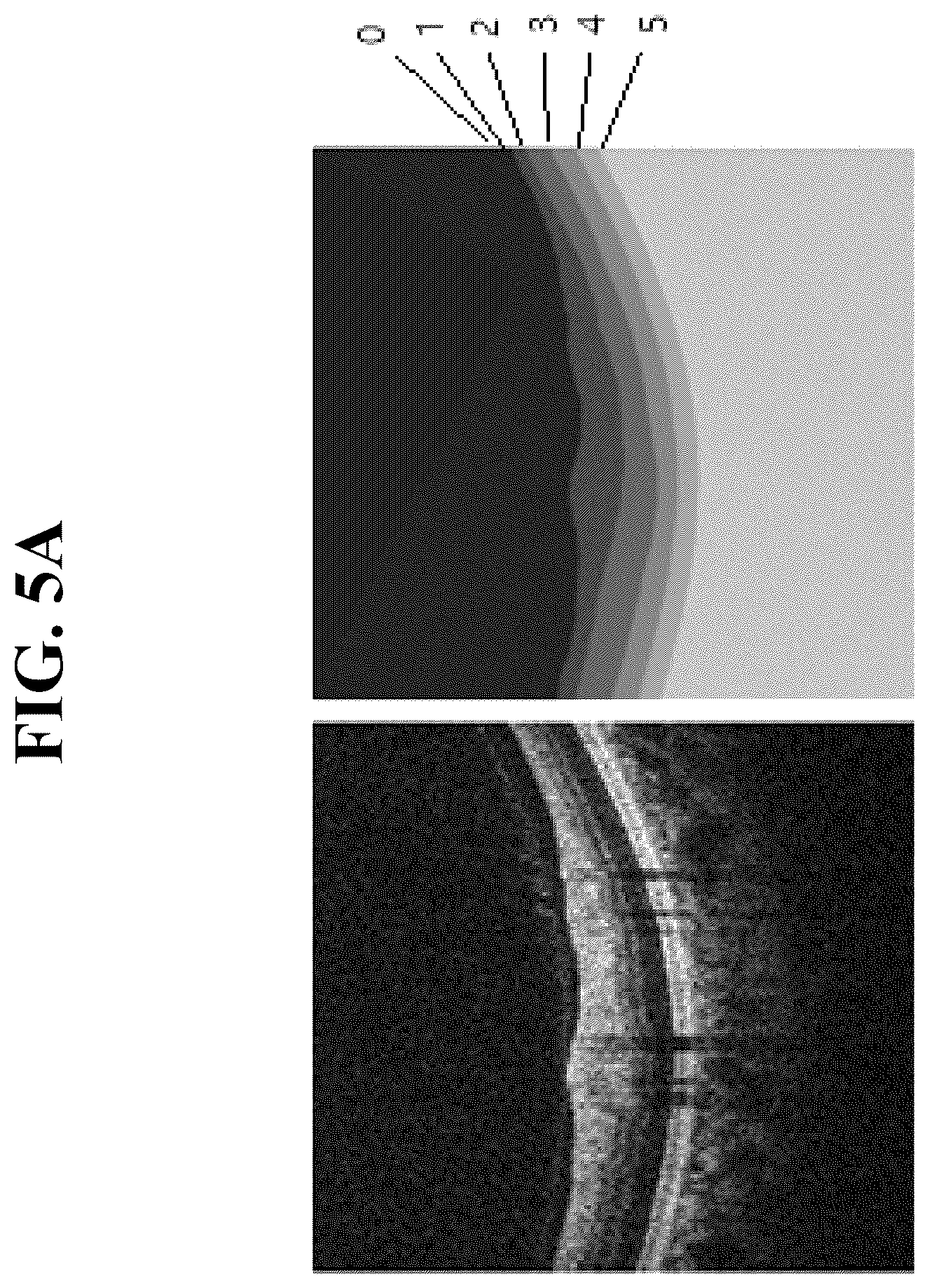 Patent US12361546 Figure 5 – Method for measuring retinal layer in OCT image
