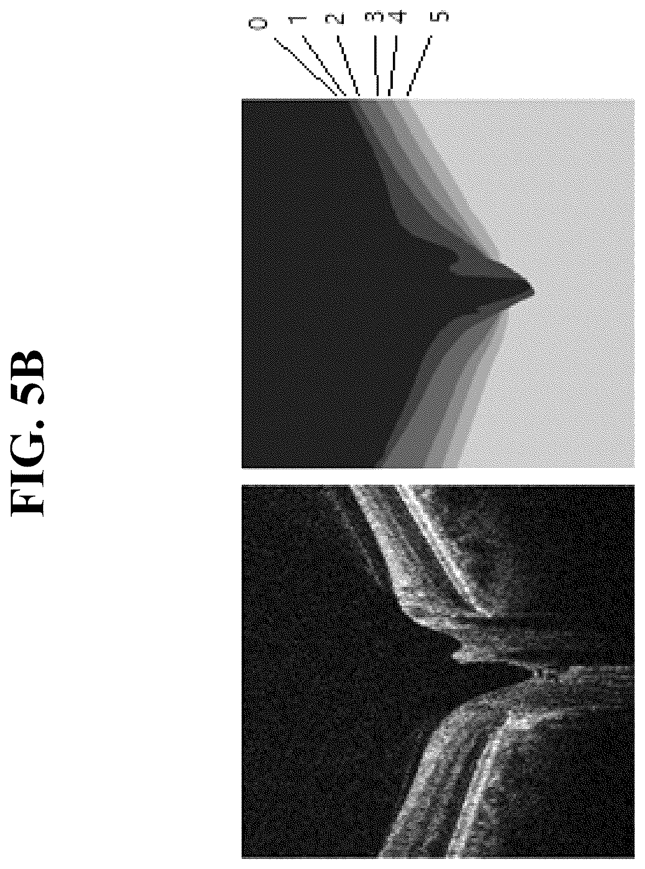 Patent US12361546 Figure 6 – Method for measuring retinal layer in OCT image