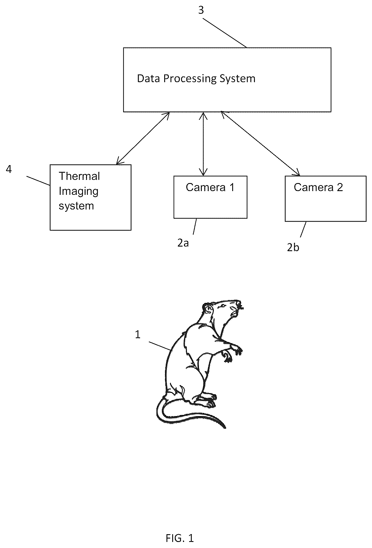 Patent US12361554 Figure 1 – Systems and methods for segmentation and measurement of a skin abnormality