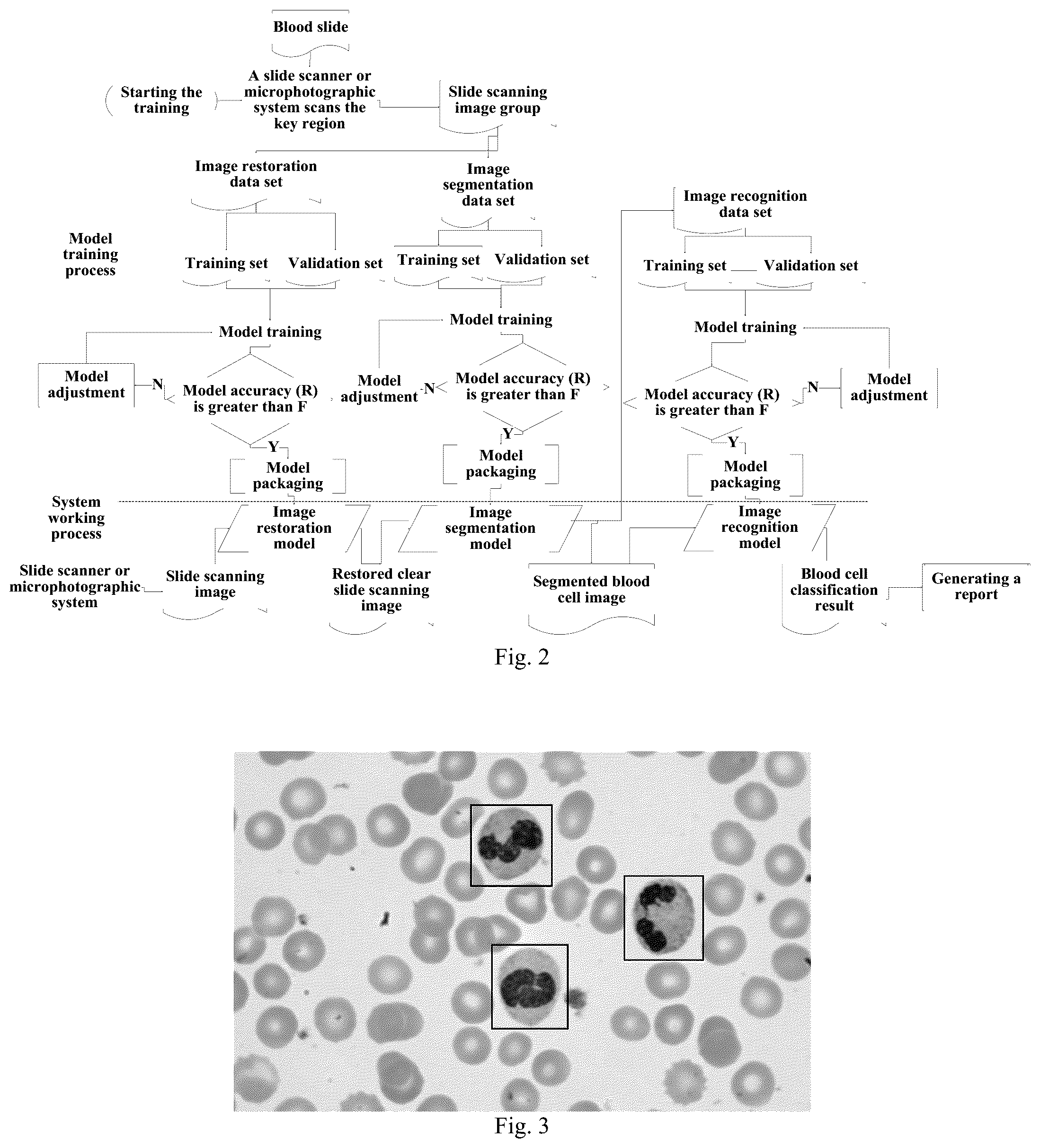 Patent US12361560 Figure 2 – Blood smear full-view intelligent analysis method, and blood cell segmentation model and recognition model construction method