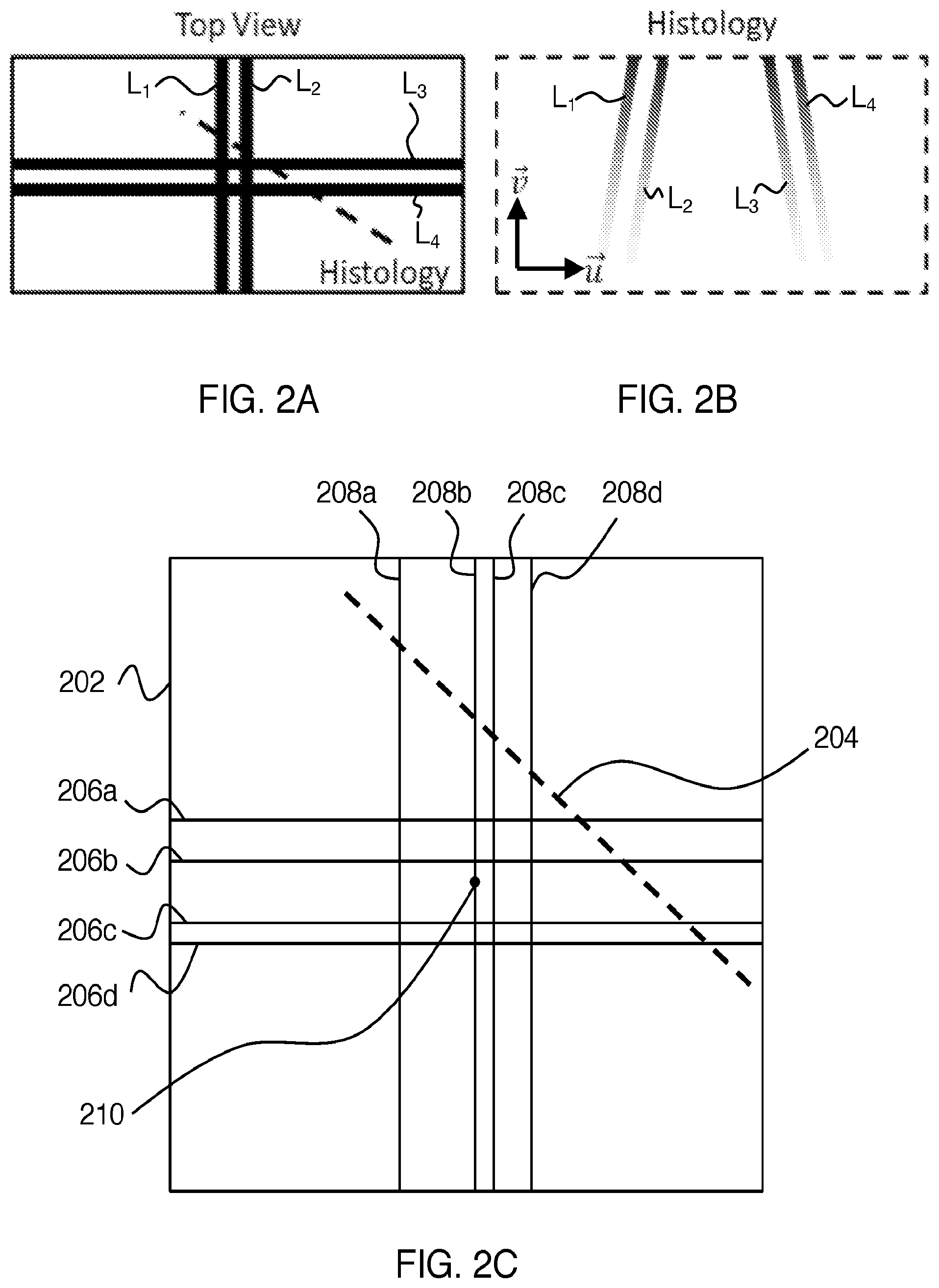 Patent US12361656 Figure 2 – High resolution alignment of 3D imaging with 2D imaging