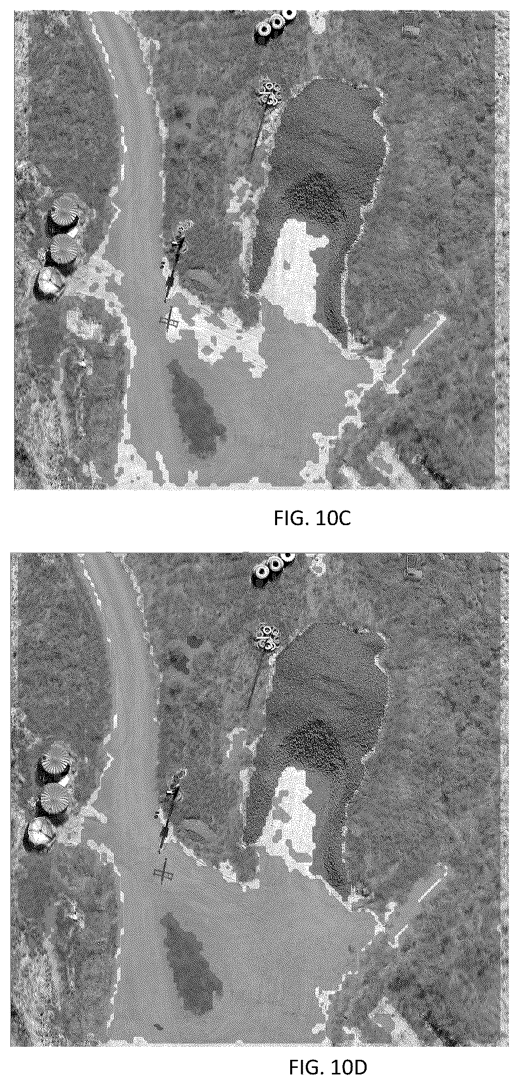 Patent US12361707 Figure 14 – System and method for discriminating and demarcating targets of interest in a physical scene