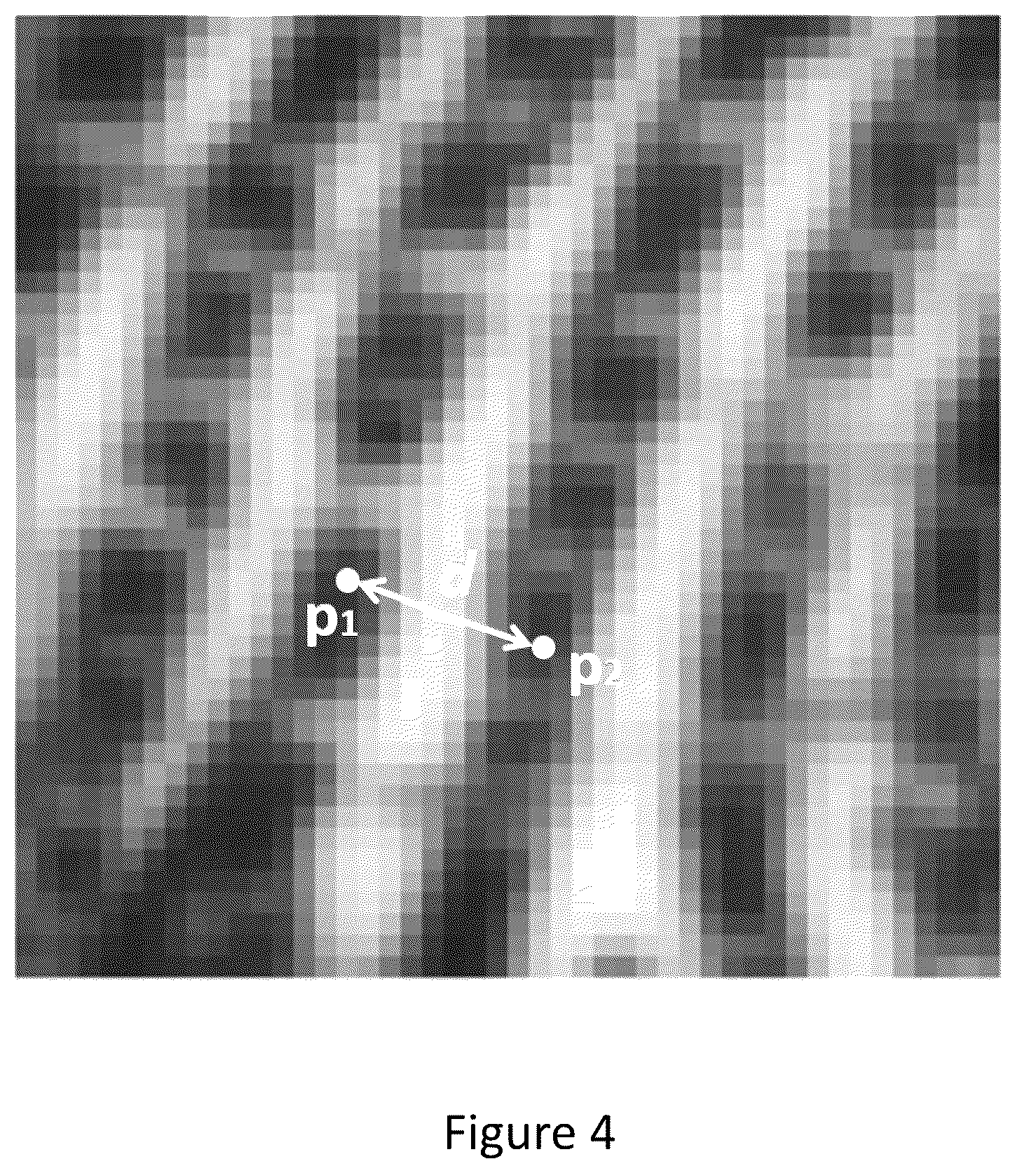 Patent US12361748 Figure 3 – Method for estimating an inter-ridge distance relating to a fingerprint