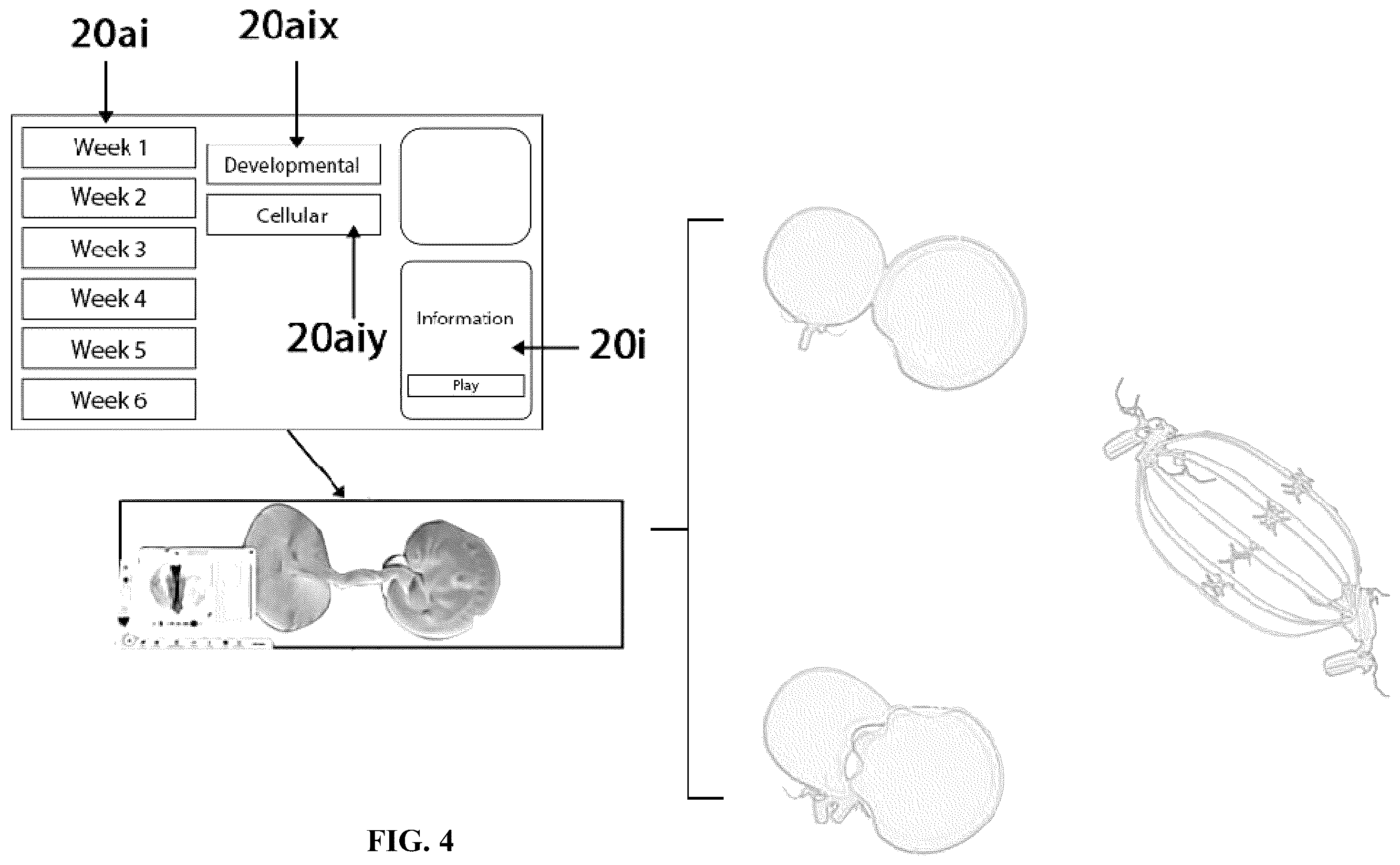 Patent US12361839 Figure 4 – System and method for simulation and understanding embryology