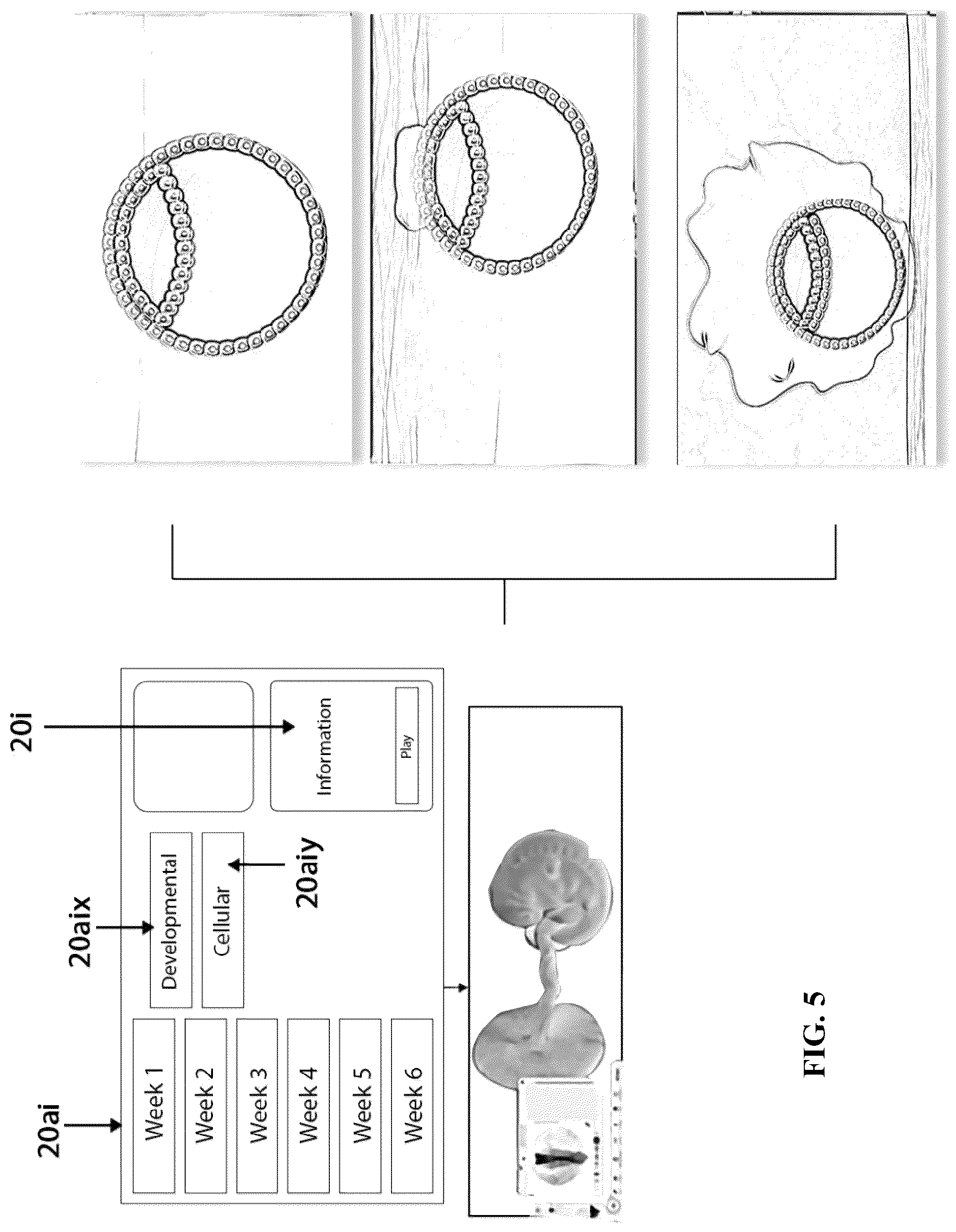 Patent US12361839 Figure 5 – System and method for simulation and understanding embryology