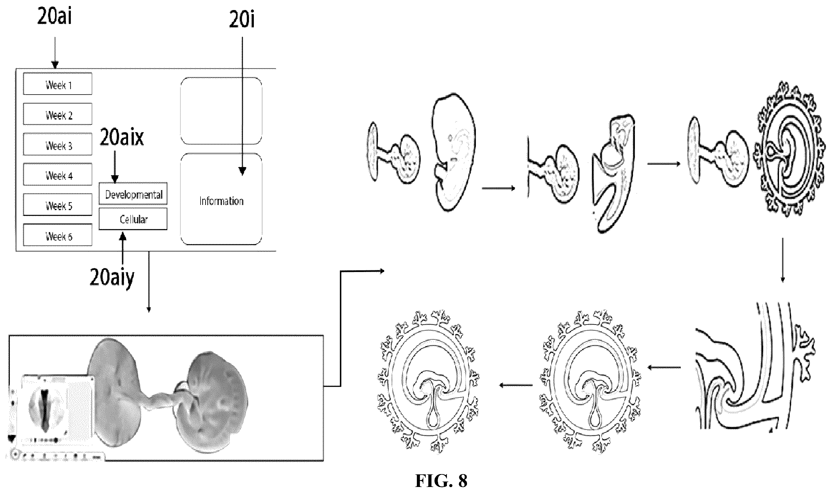 Patent US12361839 Figure 8 – System and method for simulation and understanding embryology