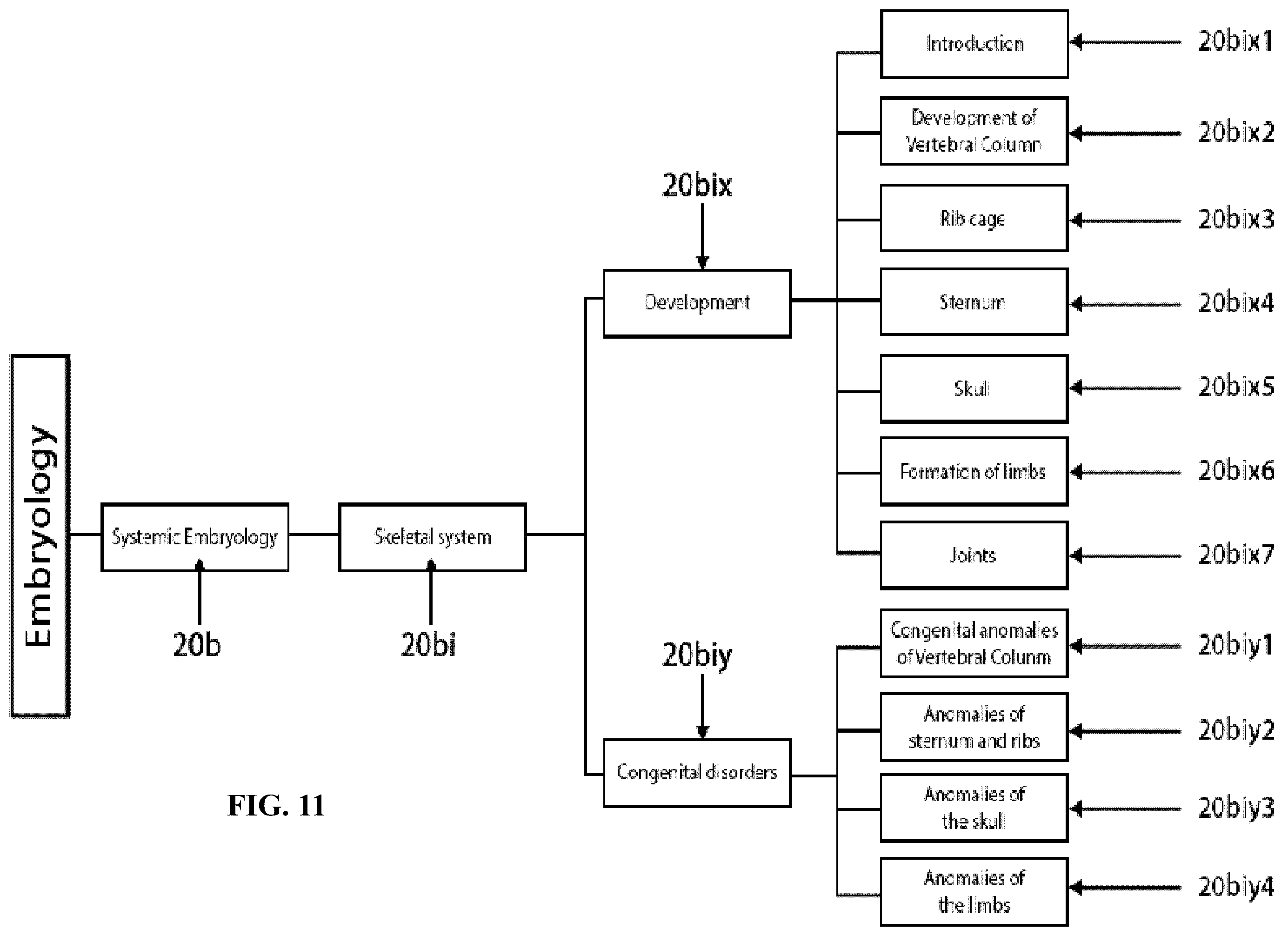Patent US12361839 Figure 11 – System and method for simulation and understanding embryology