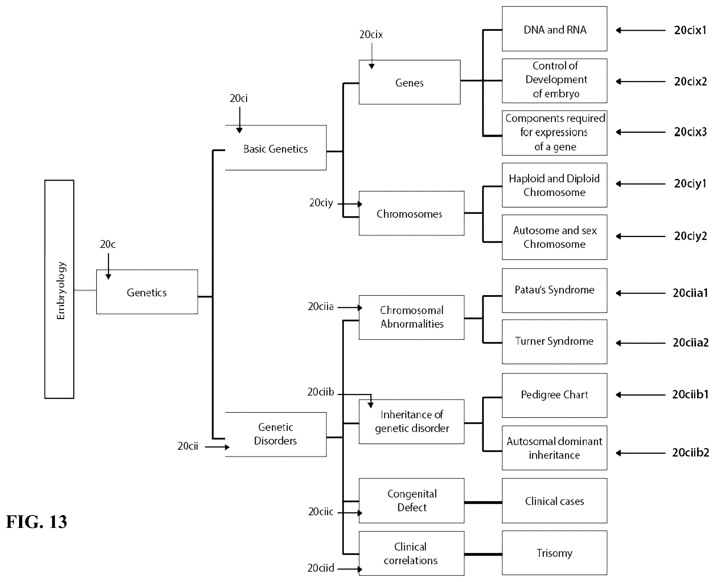 Patent US12361839 Figure 13 – System and method for simulation and understanding embryology