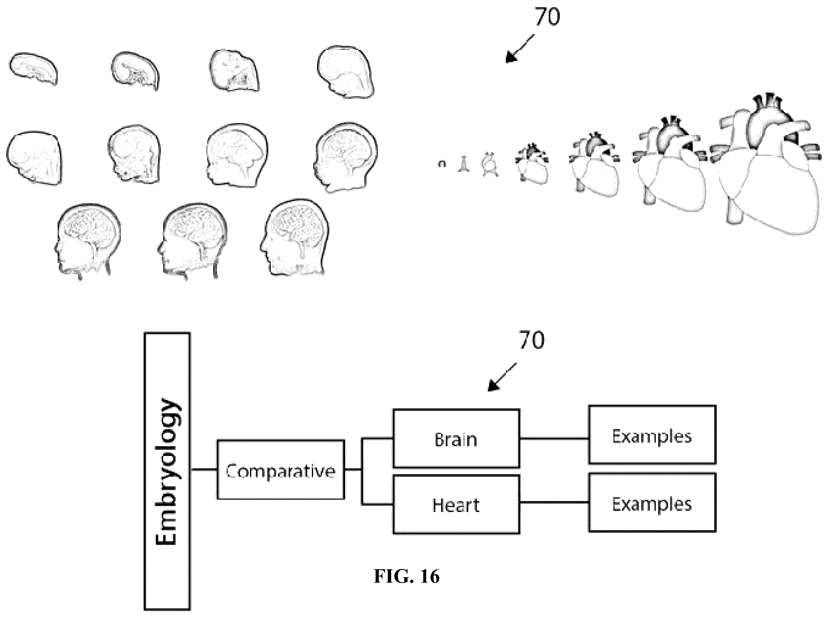 Patent US12361839 Figure 16 – System and method for simulation and understanding embryology
