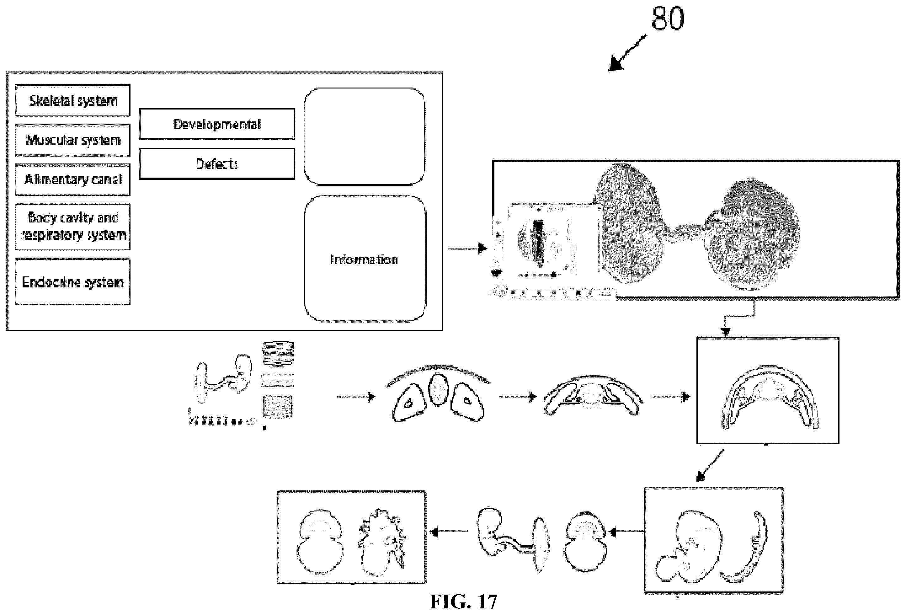 Patent US12361839 Figure 17 – System and method for simulation and understanding embryology