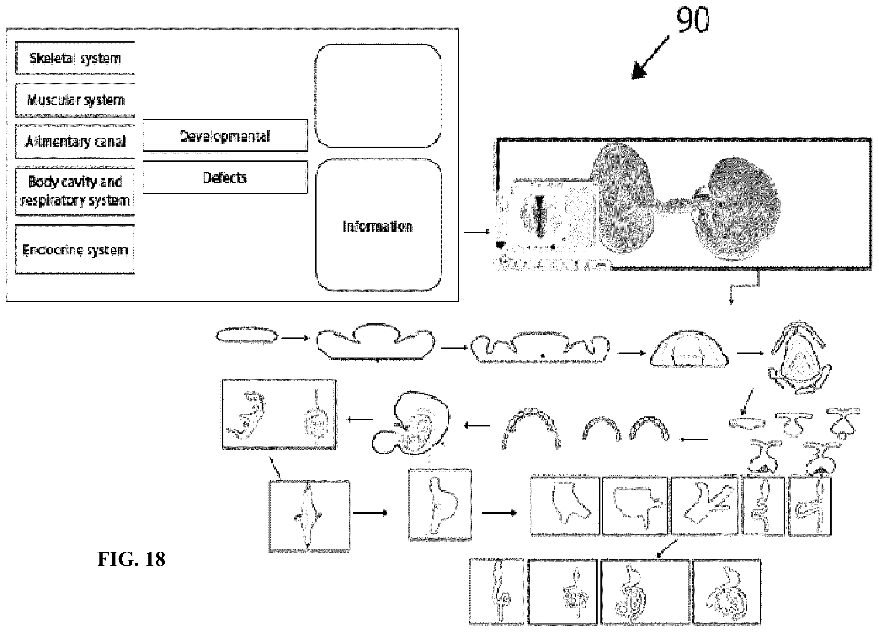 Patent US12361839 Figure 18 – System and method for simulation and understanding embryology