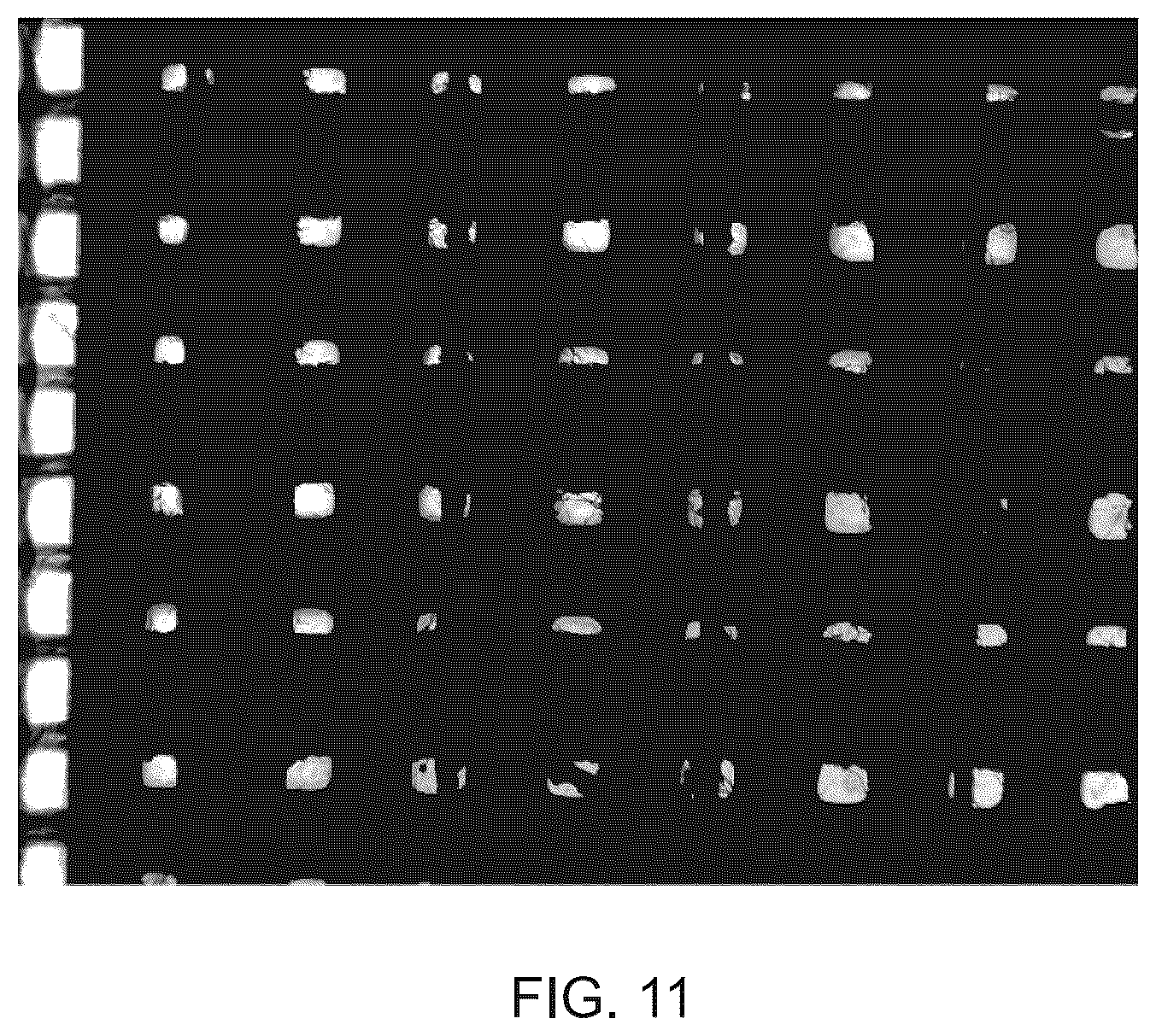 Patent US12365132 Figure 20 – Methods of making a deflection member