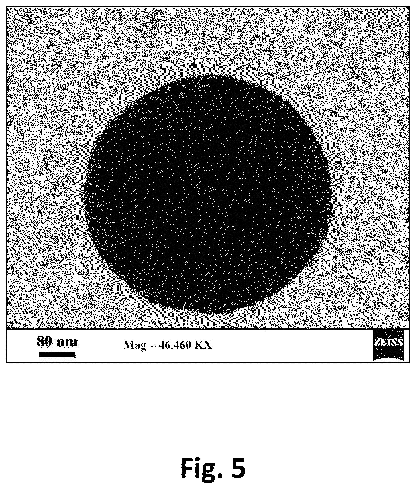 Patent US12365525 Figure 5 – Apparatus and method for producing nanoemulsions
