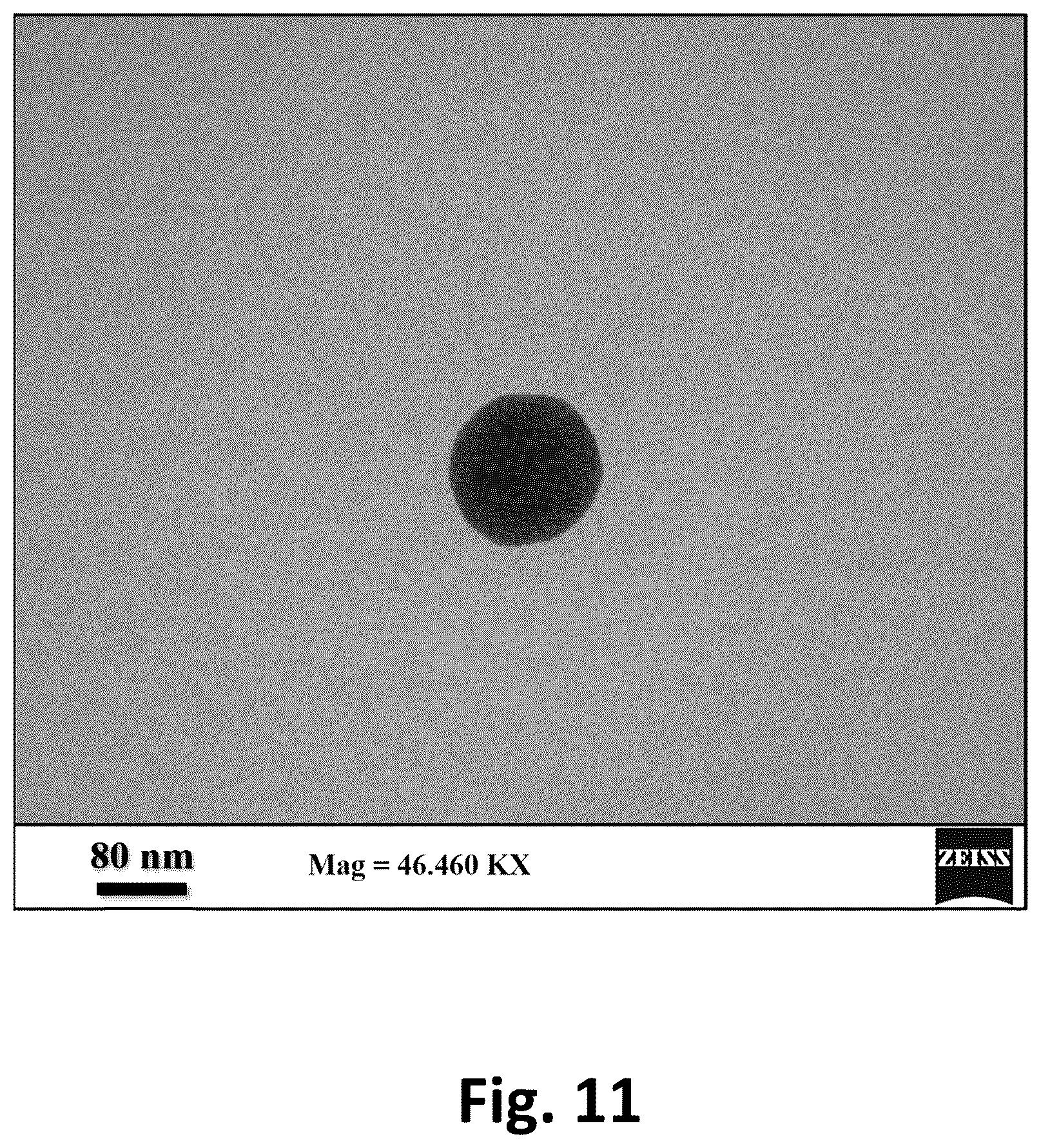 Patent US12365525 Figure 11 – Apparatus and method for producing nanoemulsions