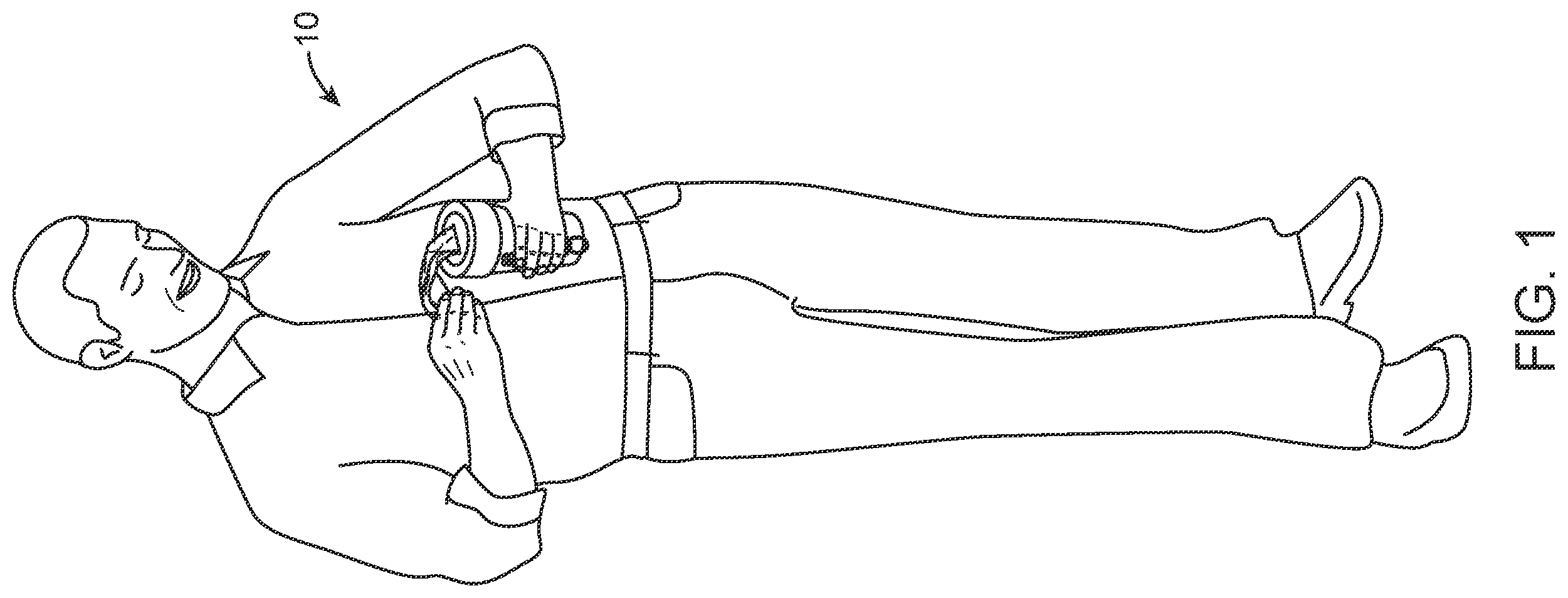 Patent US12365530 Figure 1 – Dog waste storage container and bag dispenser