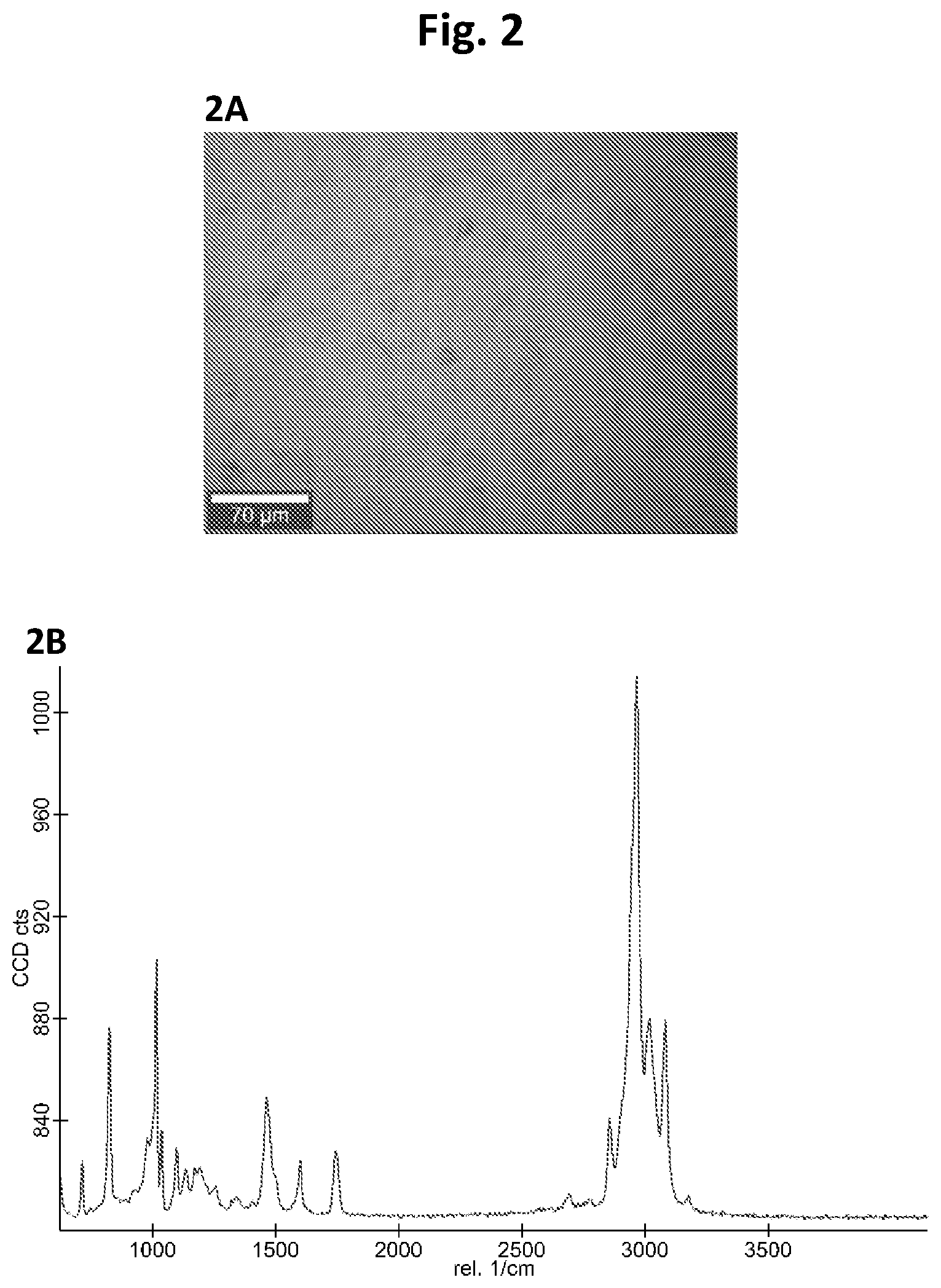 Patent US12365592 Figure 2 – Method for transferring graphene from metal substrates