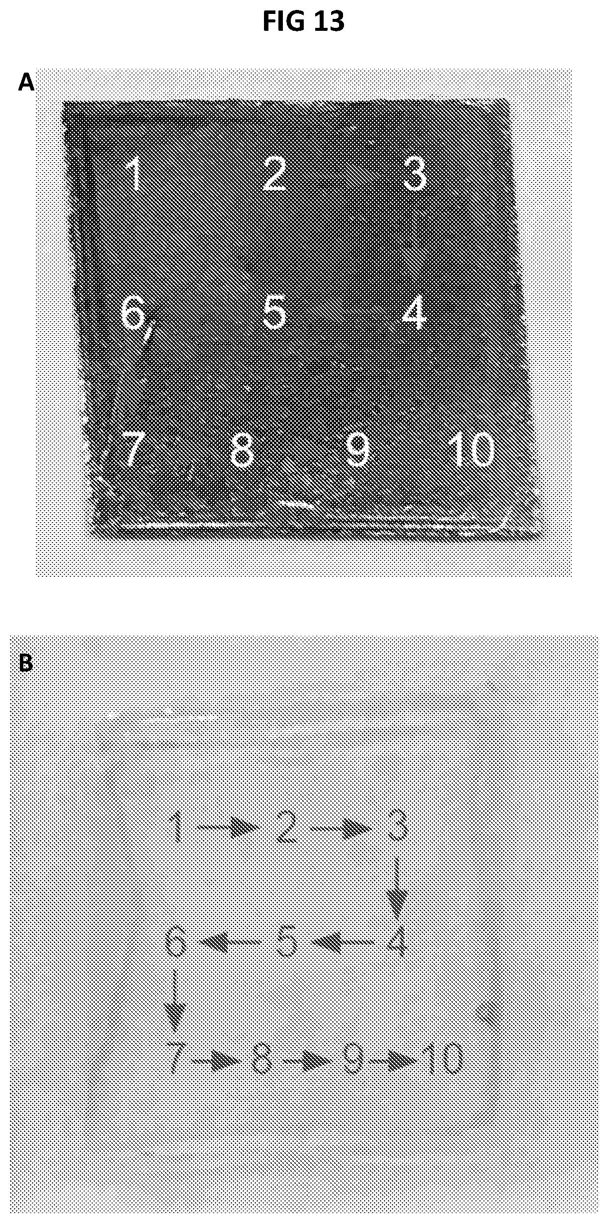 Patent US12365592 Figure 13 – Method for transferring graphene from metal substrates