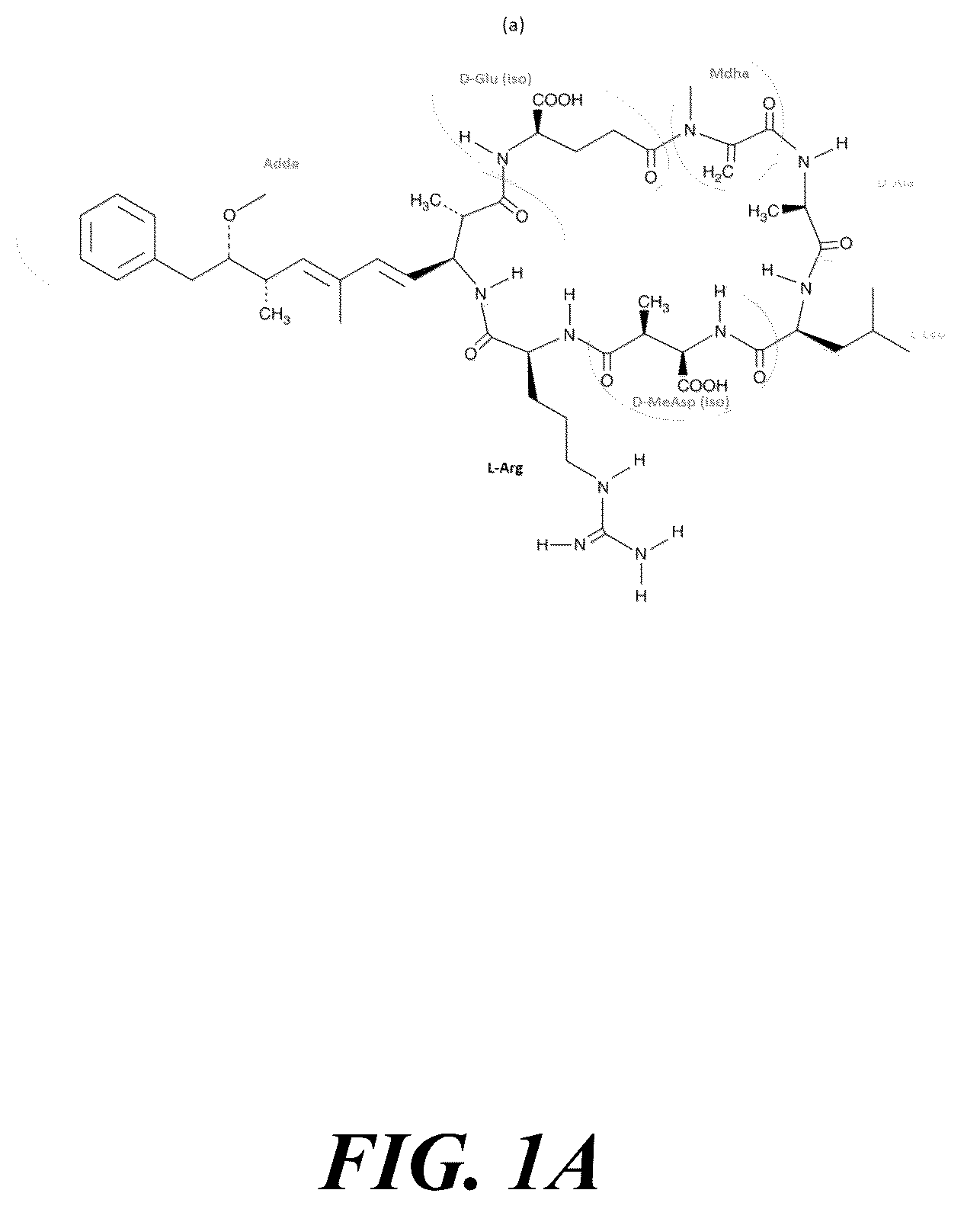 Patent US12365604 Figure 1 – Synergistic green sorption media for cyanobacterial toxin remediation