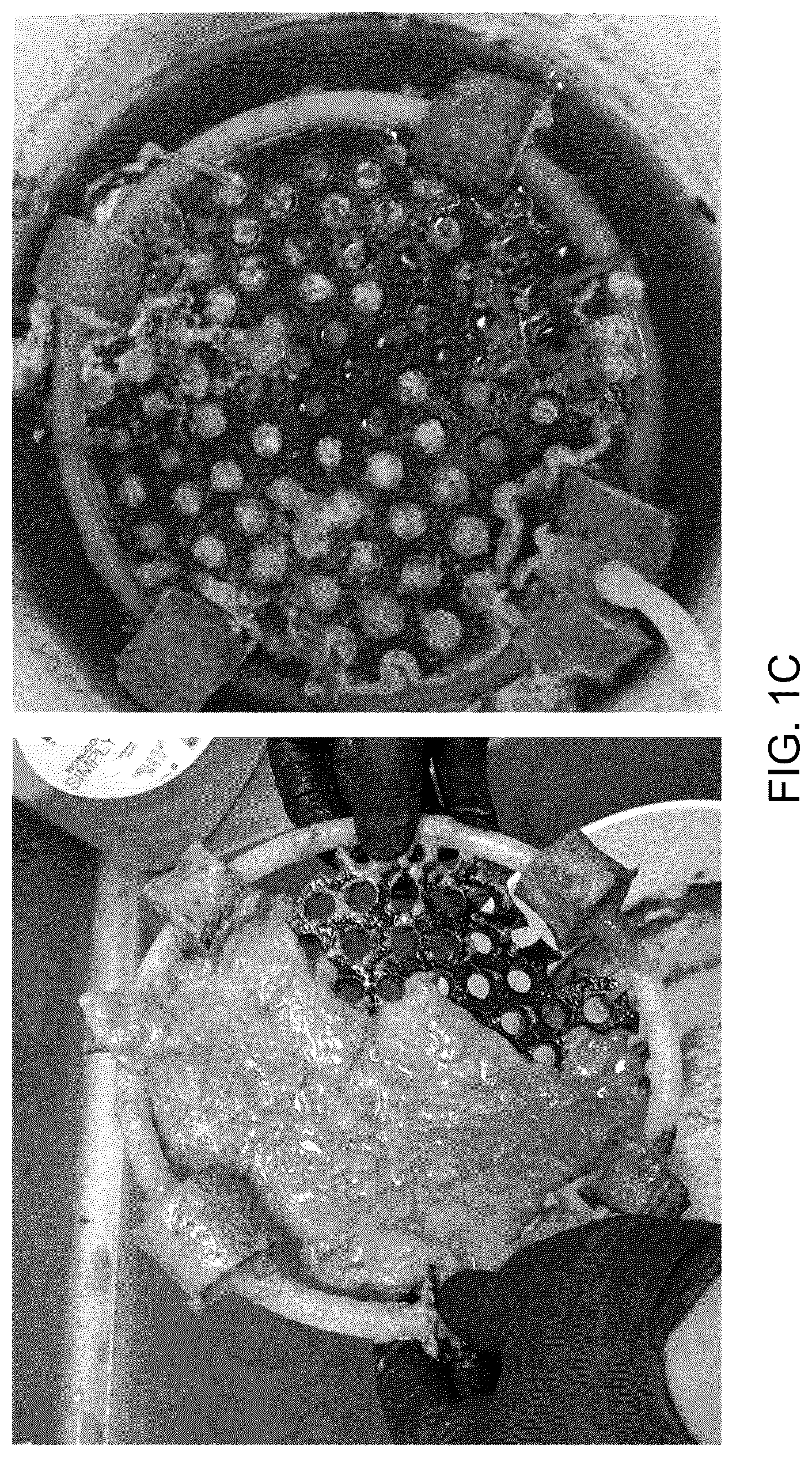 Patent US12365610 Figure 3 – Scalable floating micro-aeration unit, devices and methods