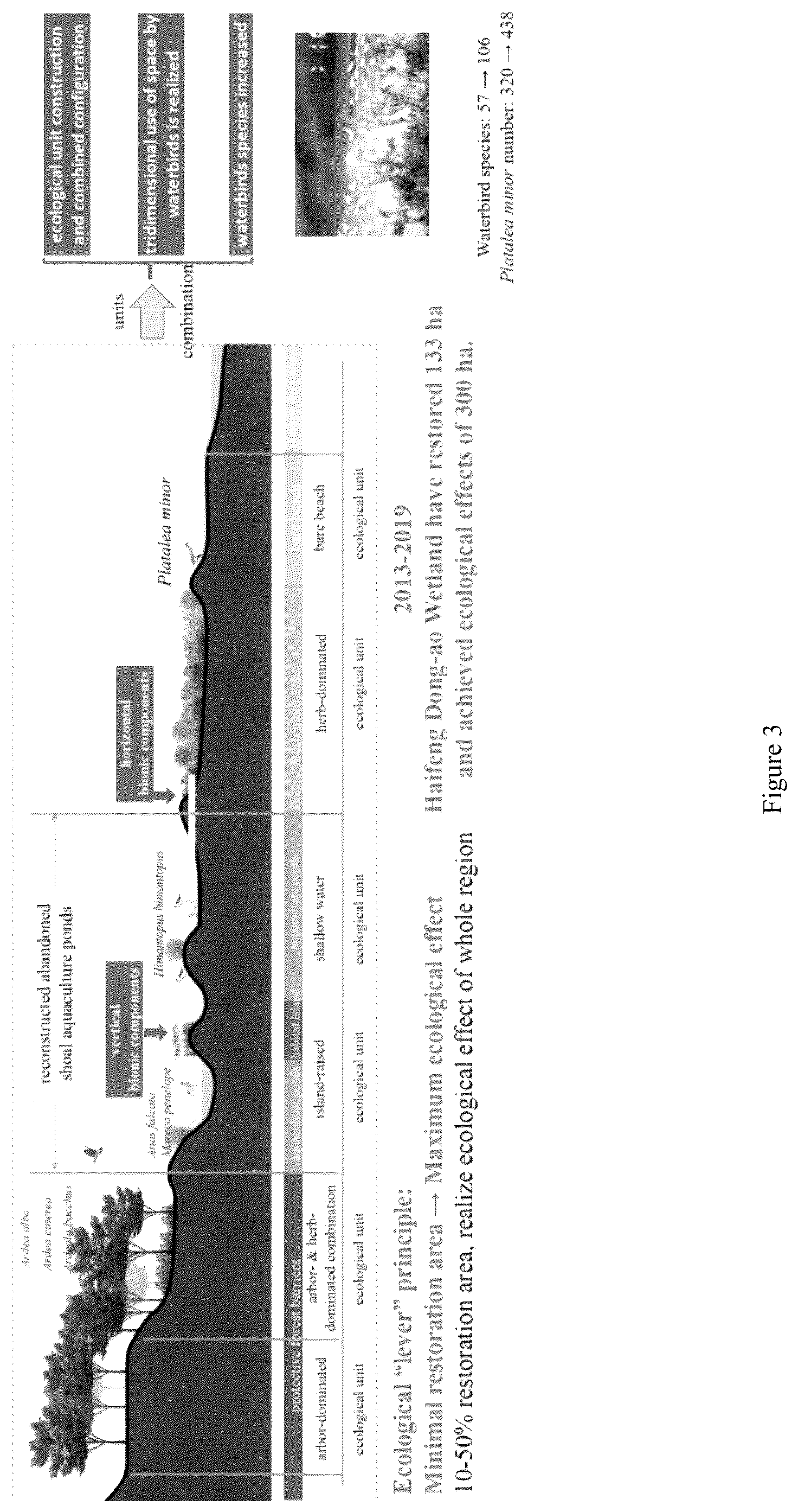 Patent US12365612 Figure 3 – Target based tidal flat wetland restoration method