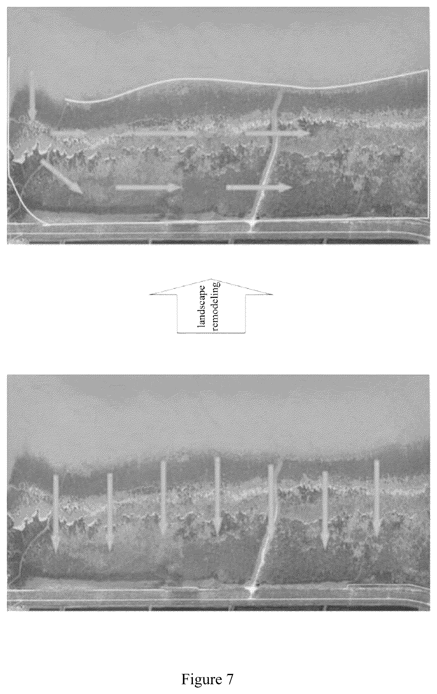 Patent US12365612 Figure 7 – Target based tidal flat wetland restoration method