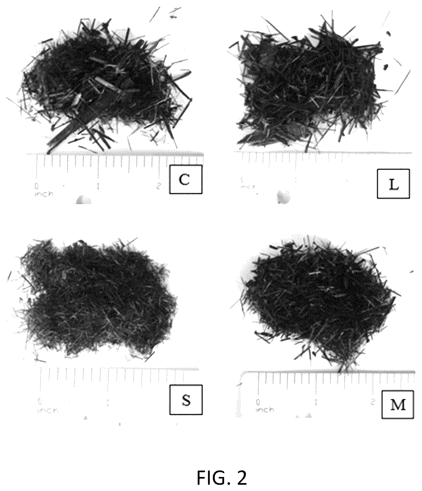 Patent US12365626 Figure 2 – Permeable pavement system including a permeable pavement composition and a related method