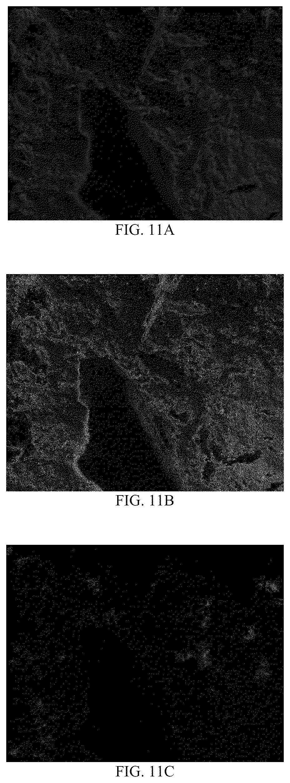 Patent US12365637 Figure 7 – Compacted muriate of potash fertilizers containing micronutrients and methods of making same