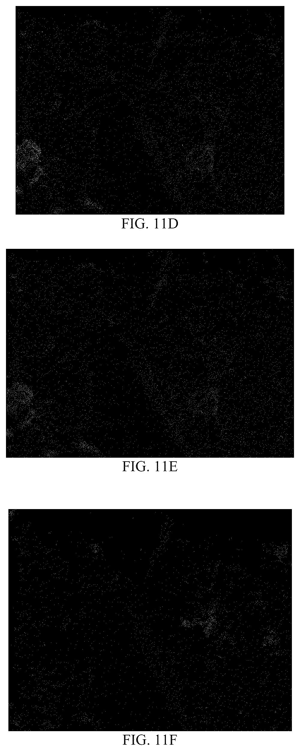 Patent US12365637 Figure 8 – Compacted muriate of potash fertilizers containing micronutrients and methods of making same
