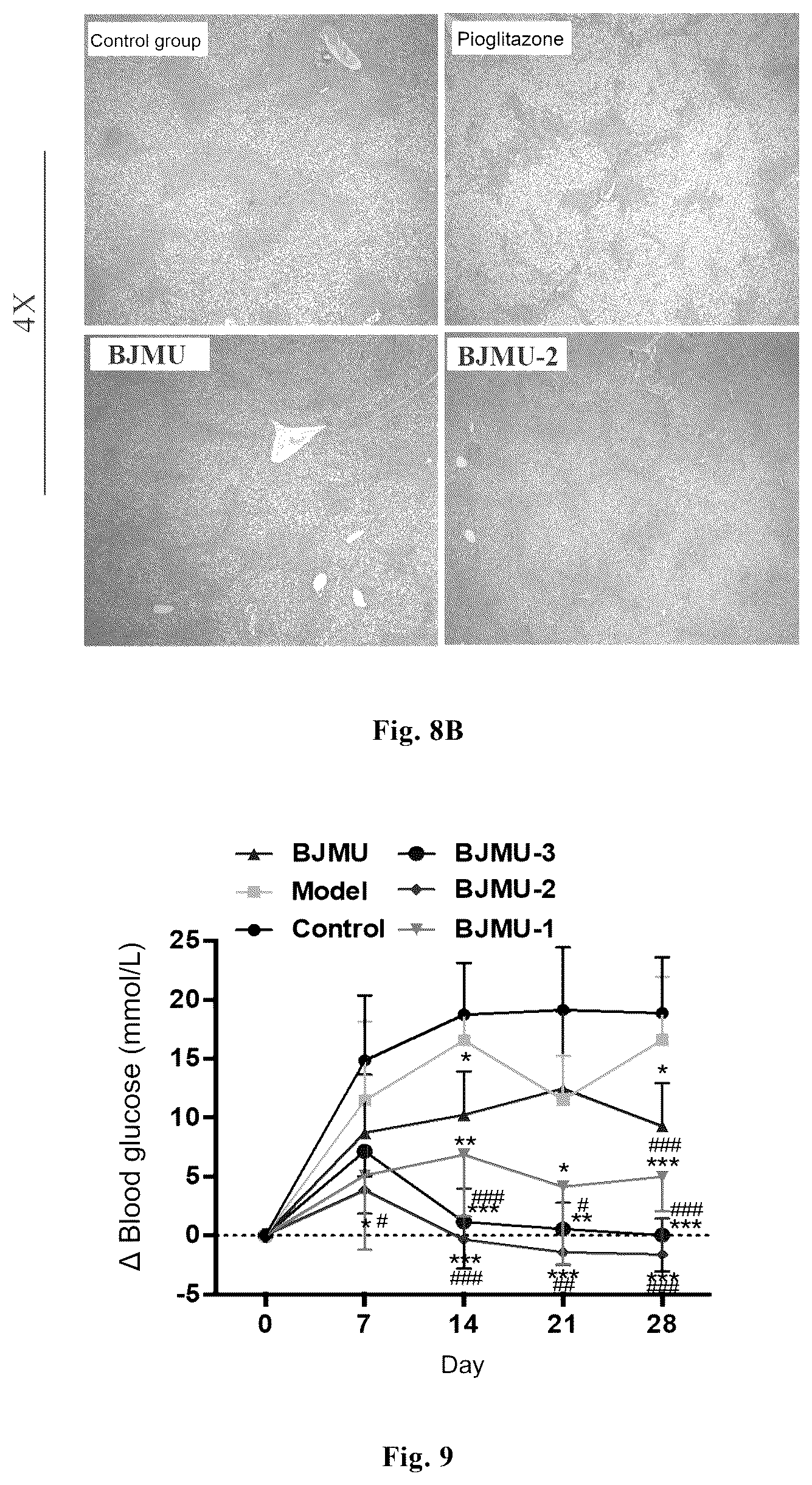 Patent US12365643 Figure 5 – Phenoxy carboxylic acid compounds and medical uses thereof