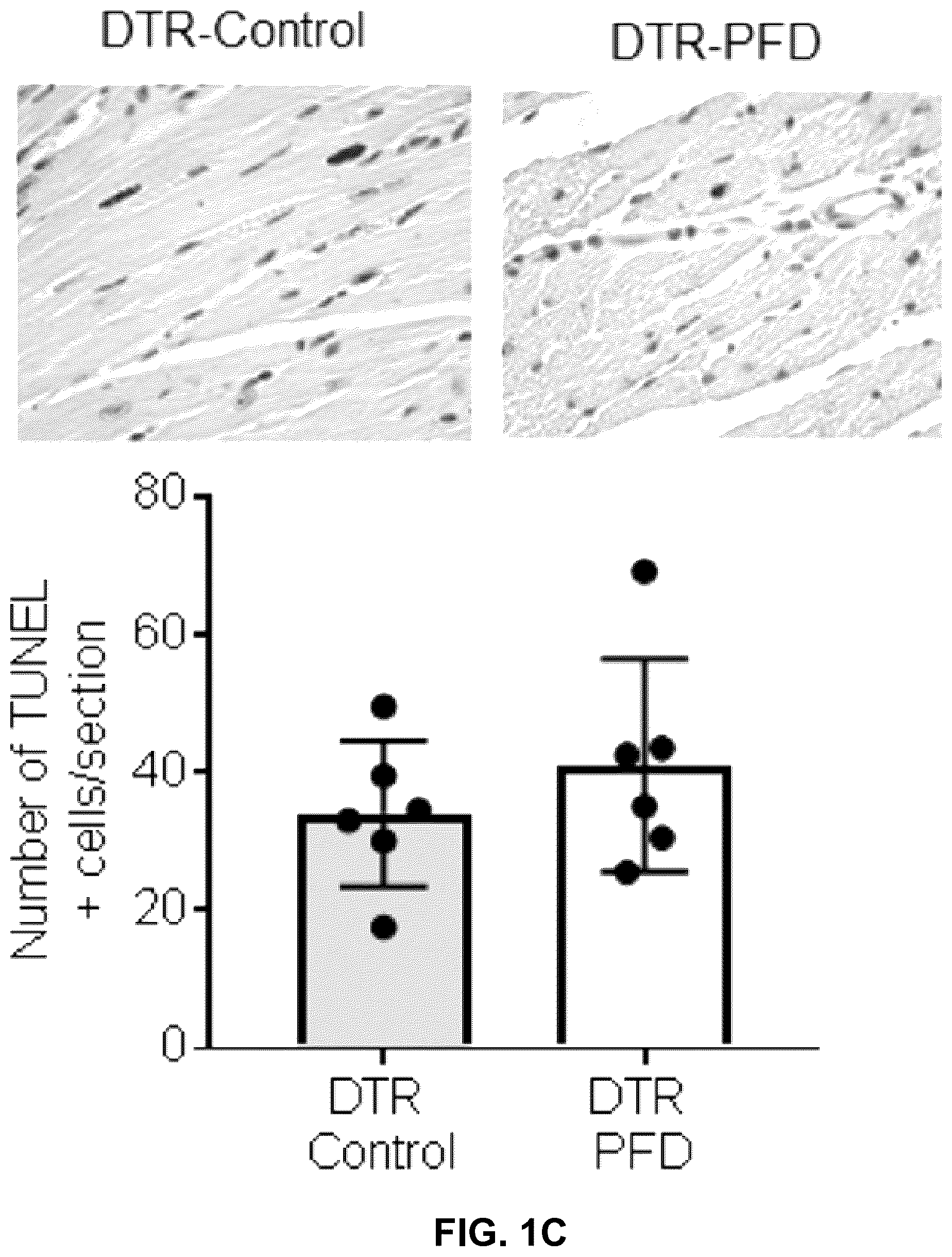 Patent US12365651 Figure 3 – Use of pirfenidone and derivatives for modulation of B lymphocyte activity and organ protection from acute tissue damage