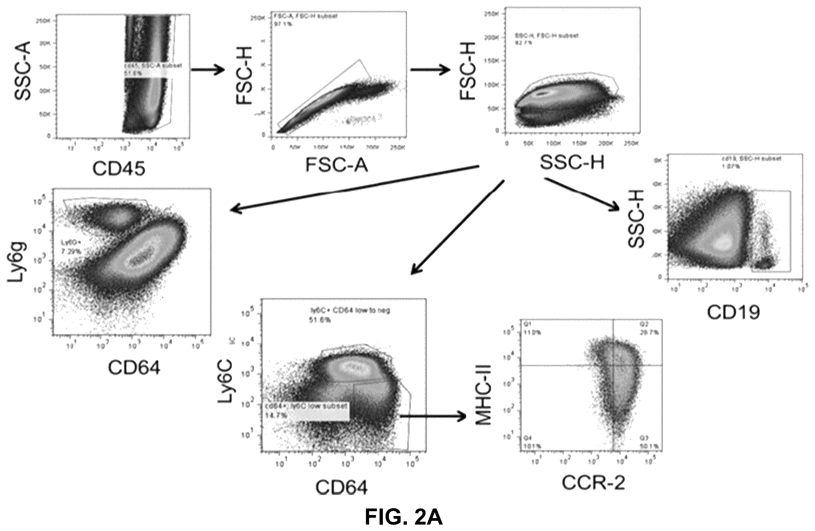 Patent US12365651 Figure 5 – Use of pirfenidone and derivatives for modulation of B lymphocyte activity and organ protection from acute tissue damage