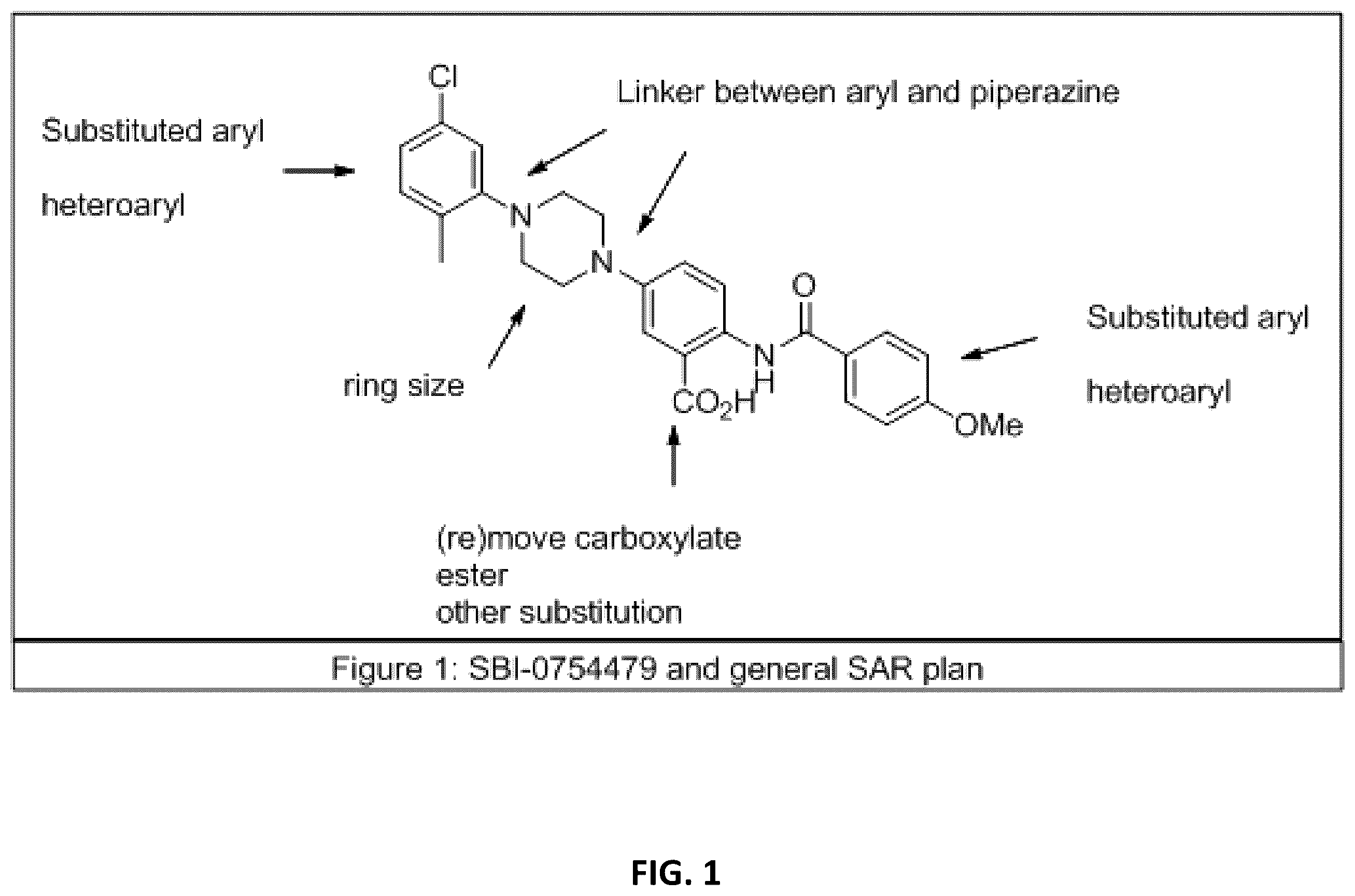 Patent US12365659 — Non-polyamine based polyamine transport inhibitors and their use in the treatment of human cancers — Figure 1