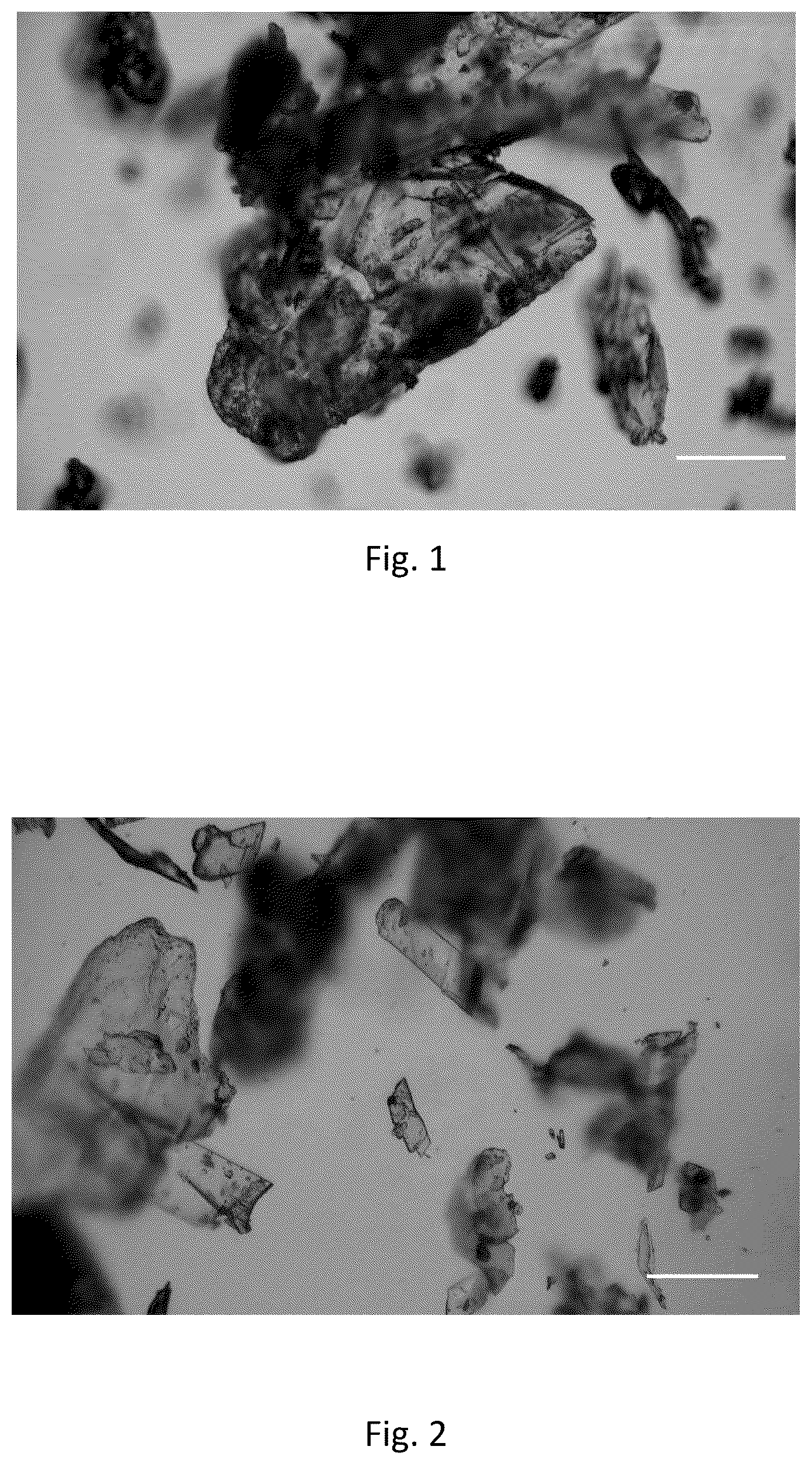 Patent US12365660 Figure 1 – Organic acid and thermal treatment of purified 2,5-furandicarboxylic acid