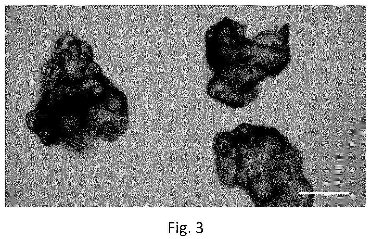 Patent US12365660 Figure 2 – Organic acid and thermal treatment of purified 2,5-furandicarboxylic acid