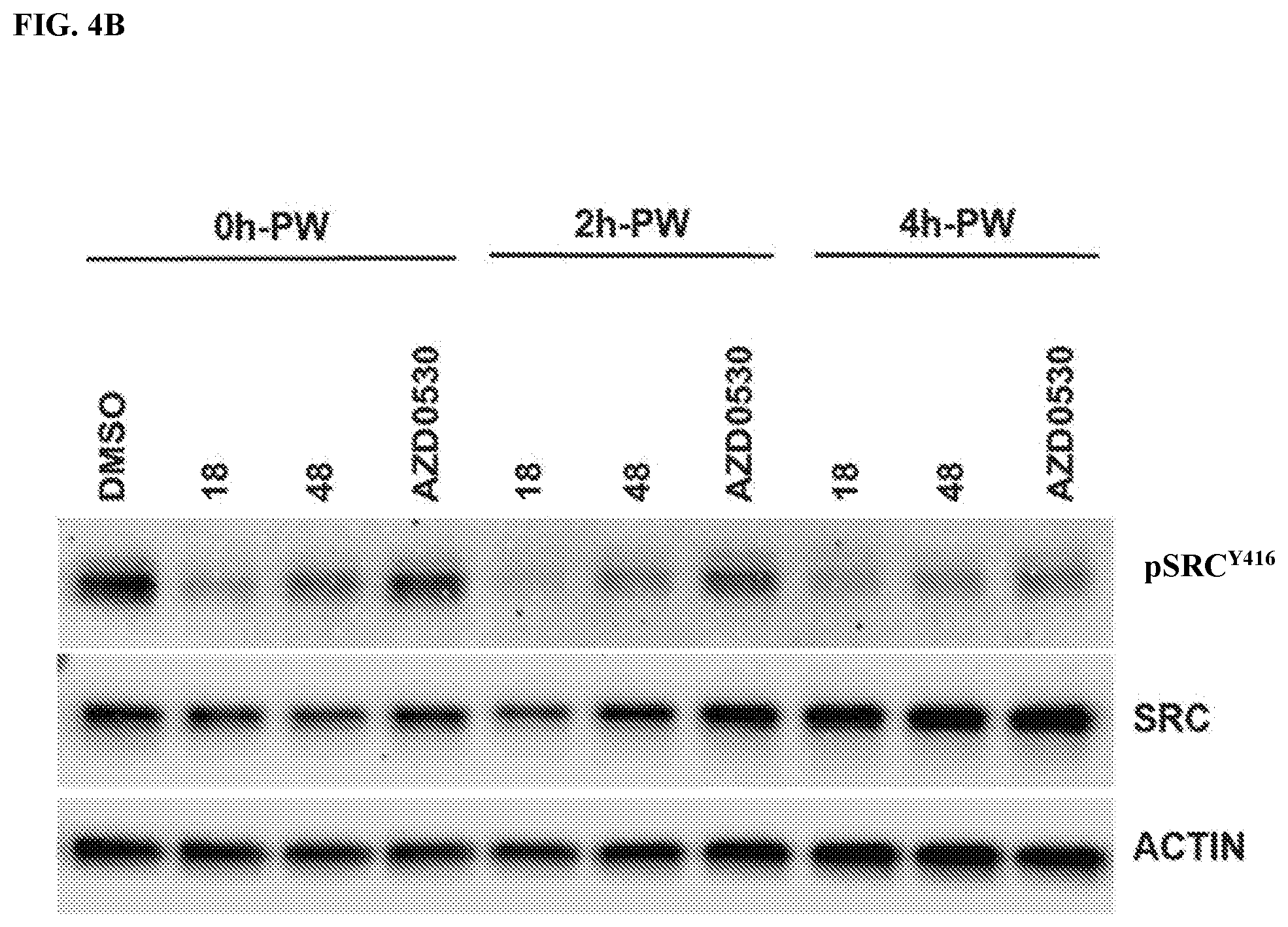 Patent US12365664 Figure 5 – Small molecule inhibitors of SRC tyrosine kinase