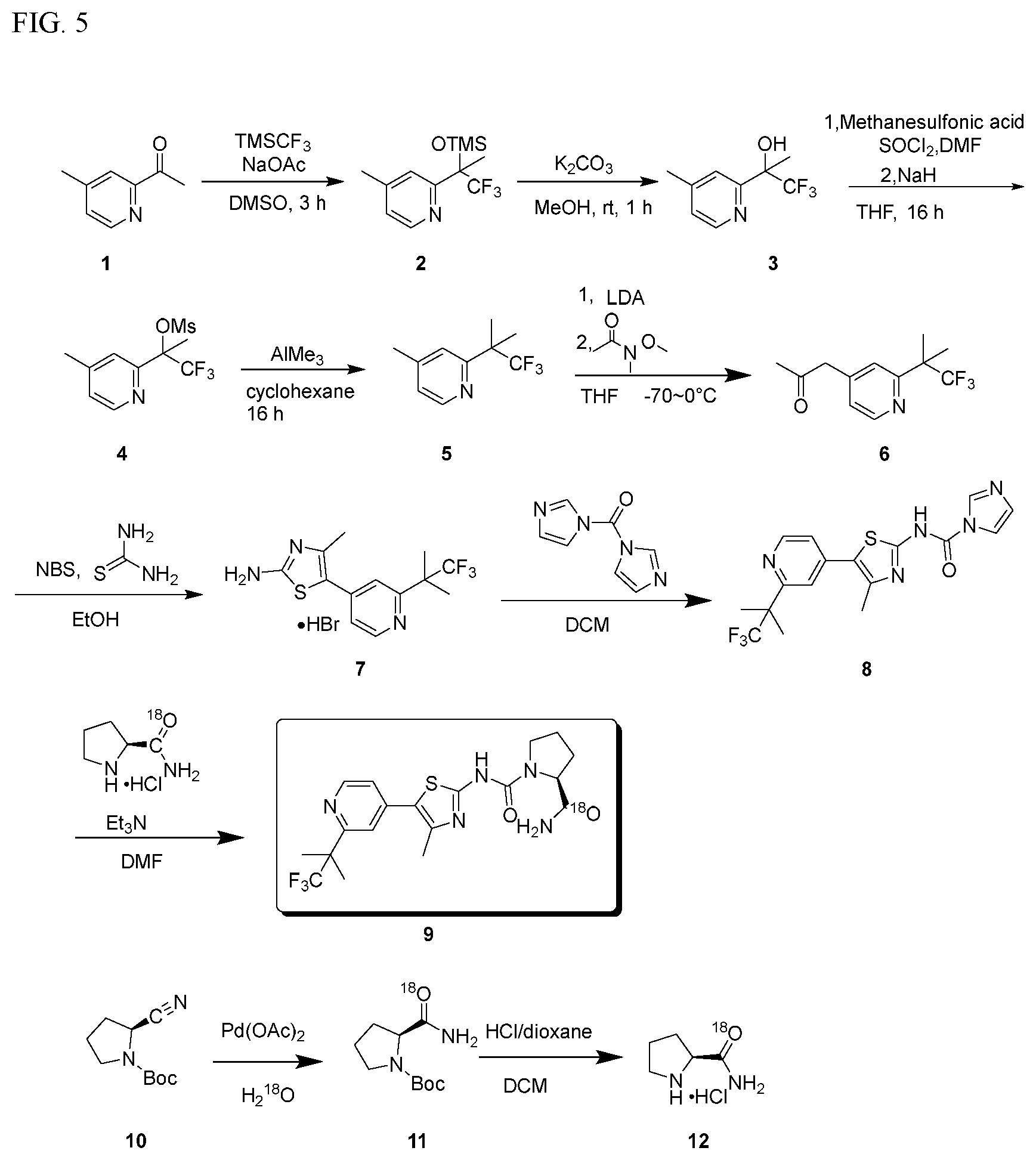 Patent US12365675 Figure 6 – Stable heavy isotopes in amide functional groups and uses thereof