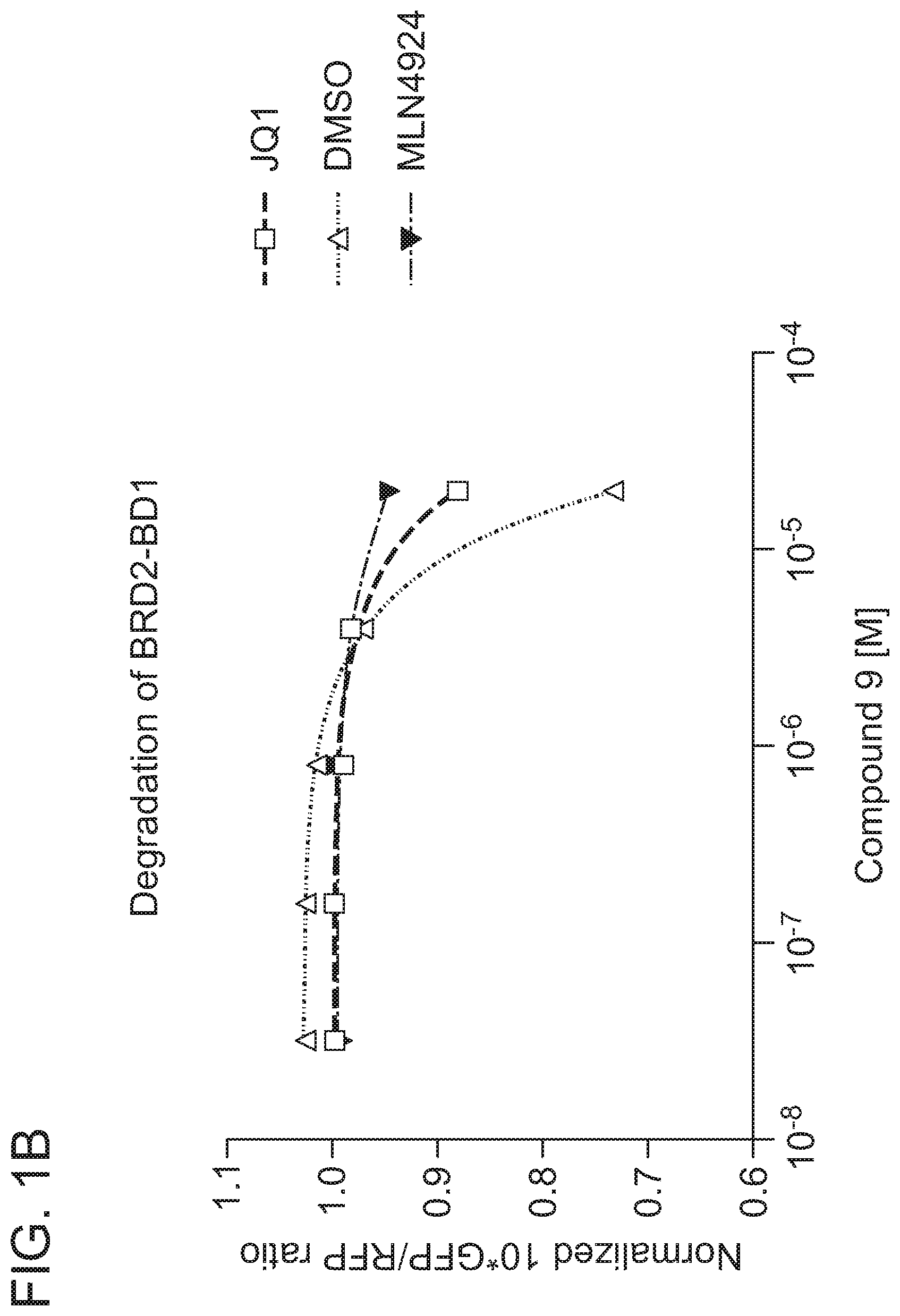 Patent US12365677 Figure 2 – Degraders that target proteins via KEAP1