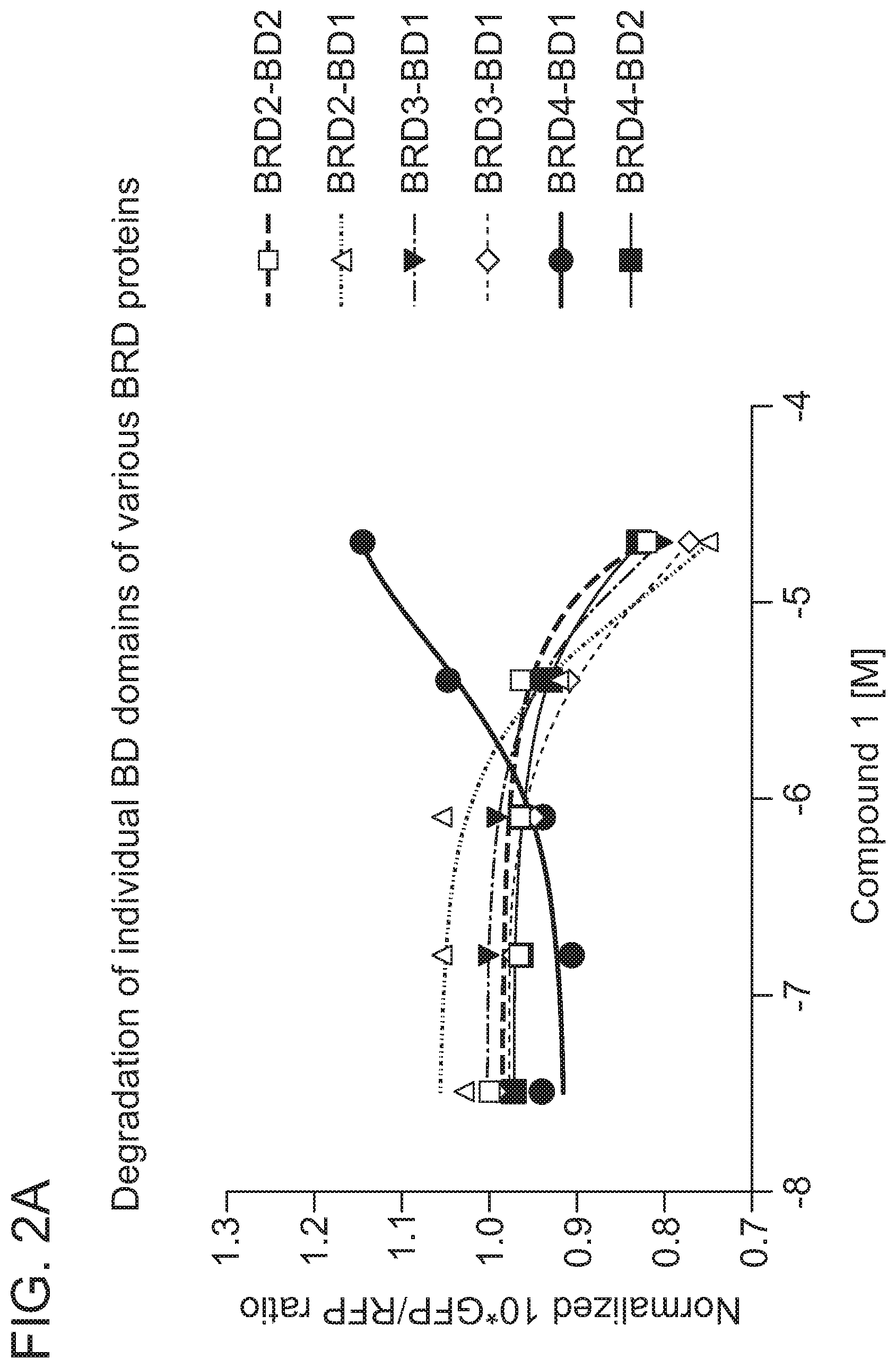 Patent US12365677 Figure 3 – Degraders that target proteins via KEAP1