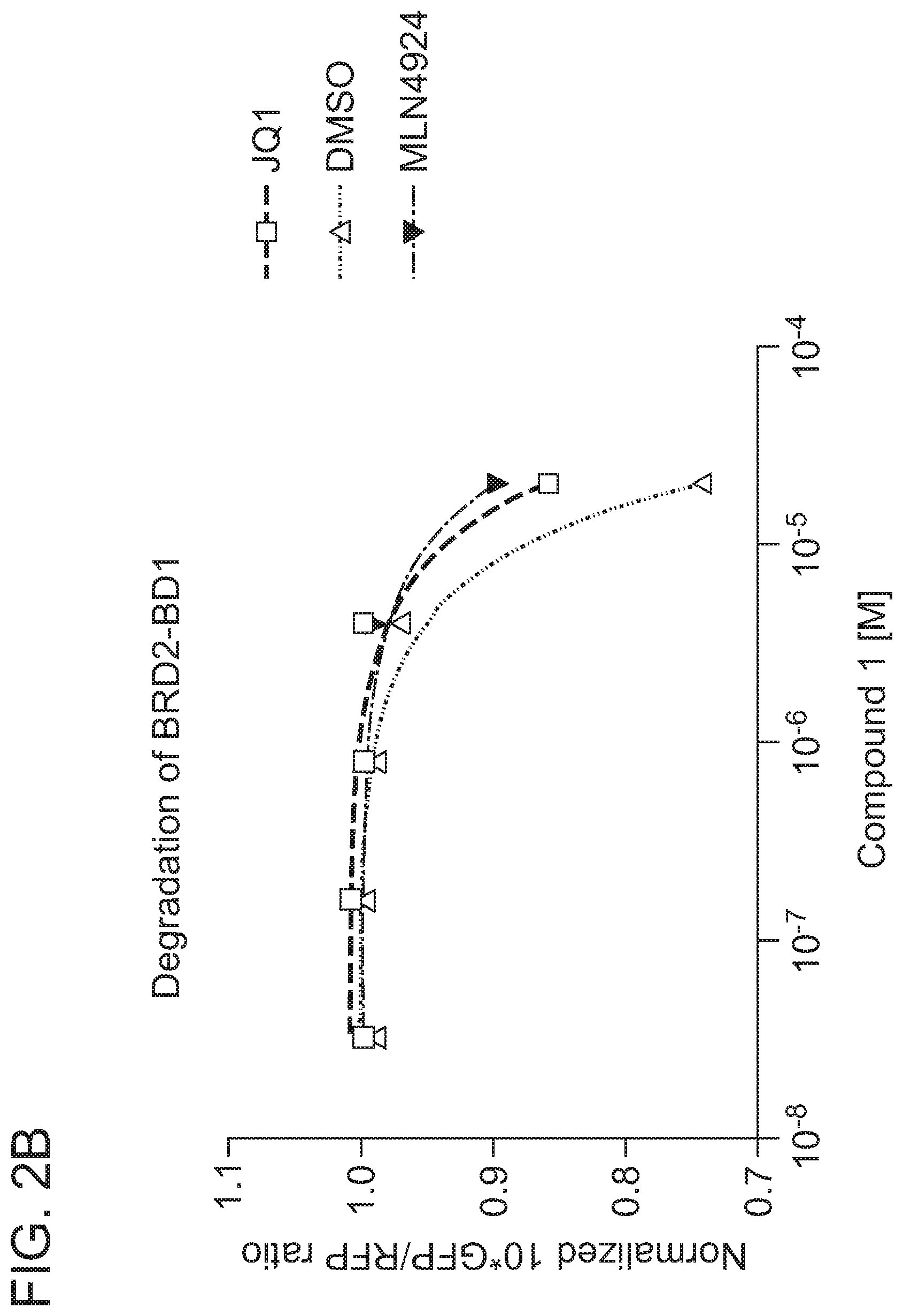Patent US12365677 Figure 4 – Degraders that target proteins via KEAP1