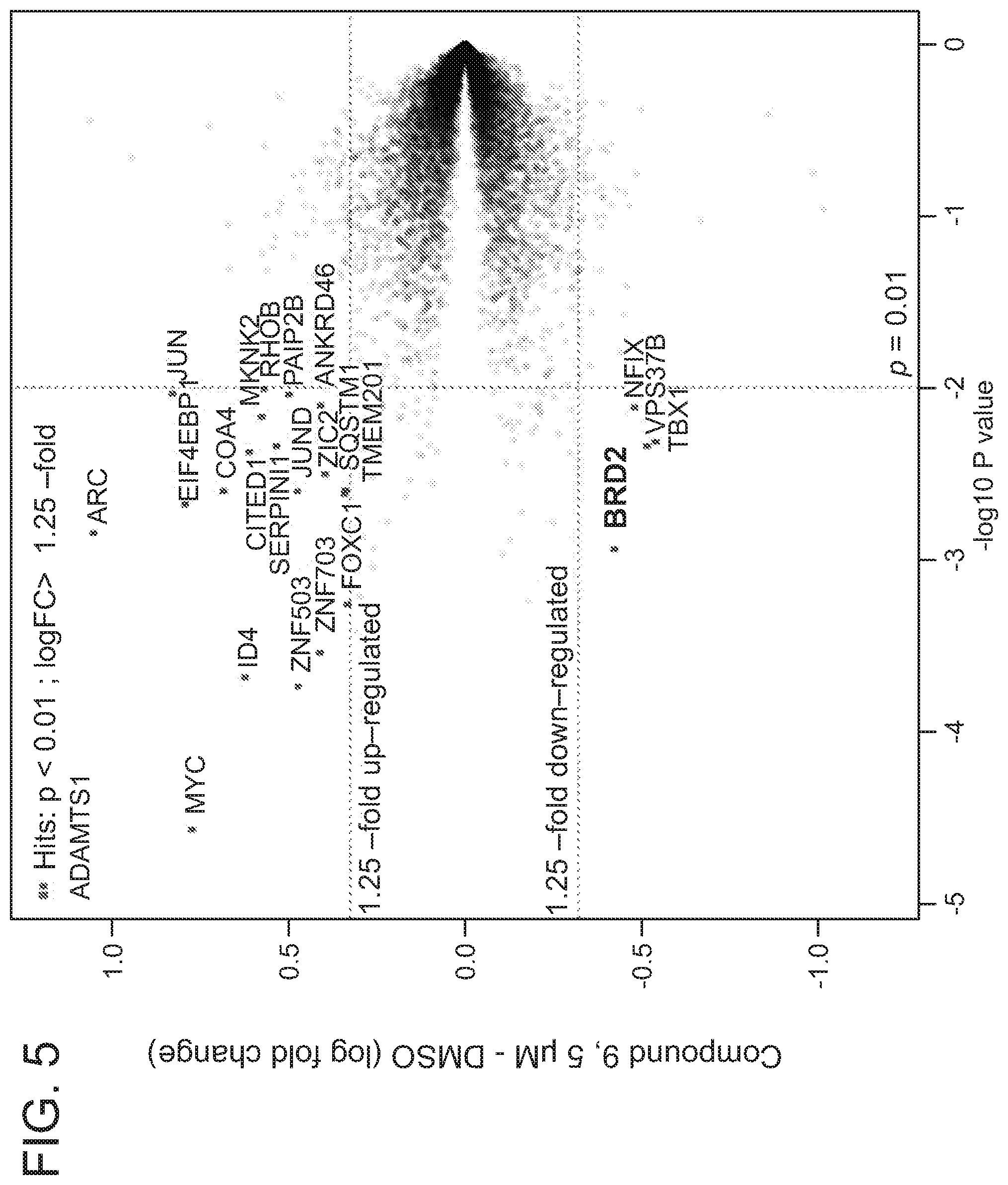Patent US12365677 Figure 10 – Degraders that target proteins via KEAP1