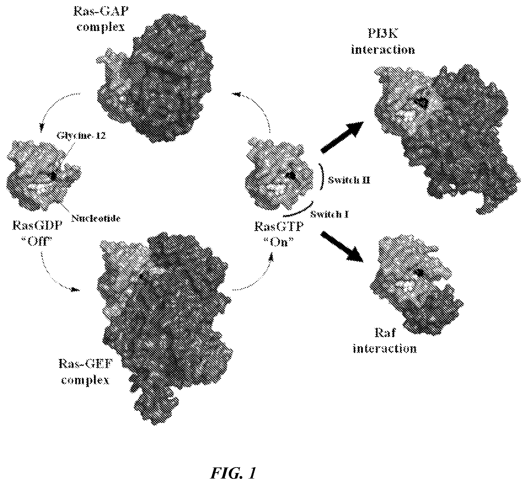 Patent US12365693 Figure 1 – Compositions and methods for treating cancer